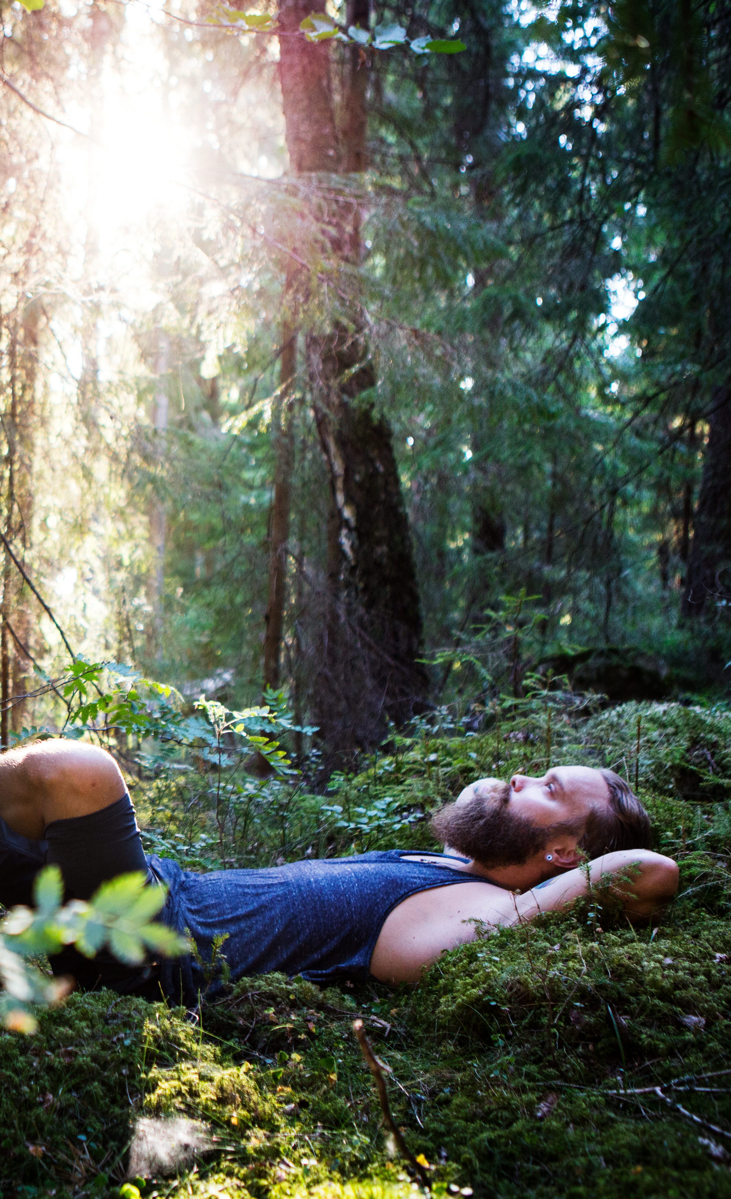 The nature of Dalsland