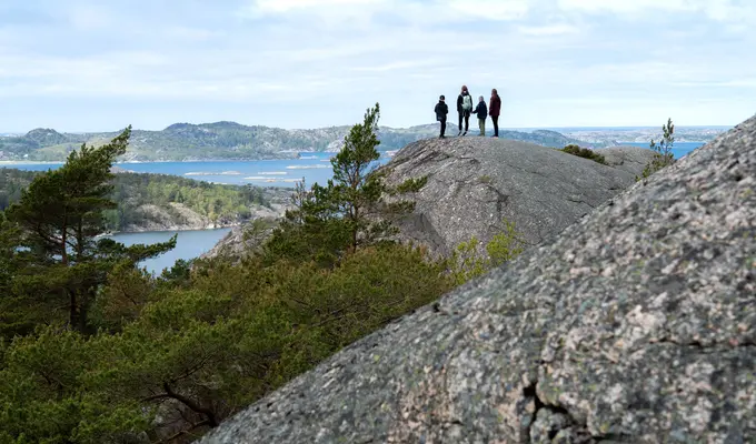 Things to see and do on Tjörn