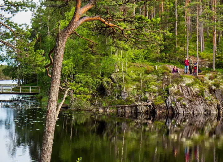 Vandra i Tresticklans nationalpark