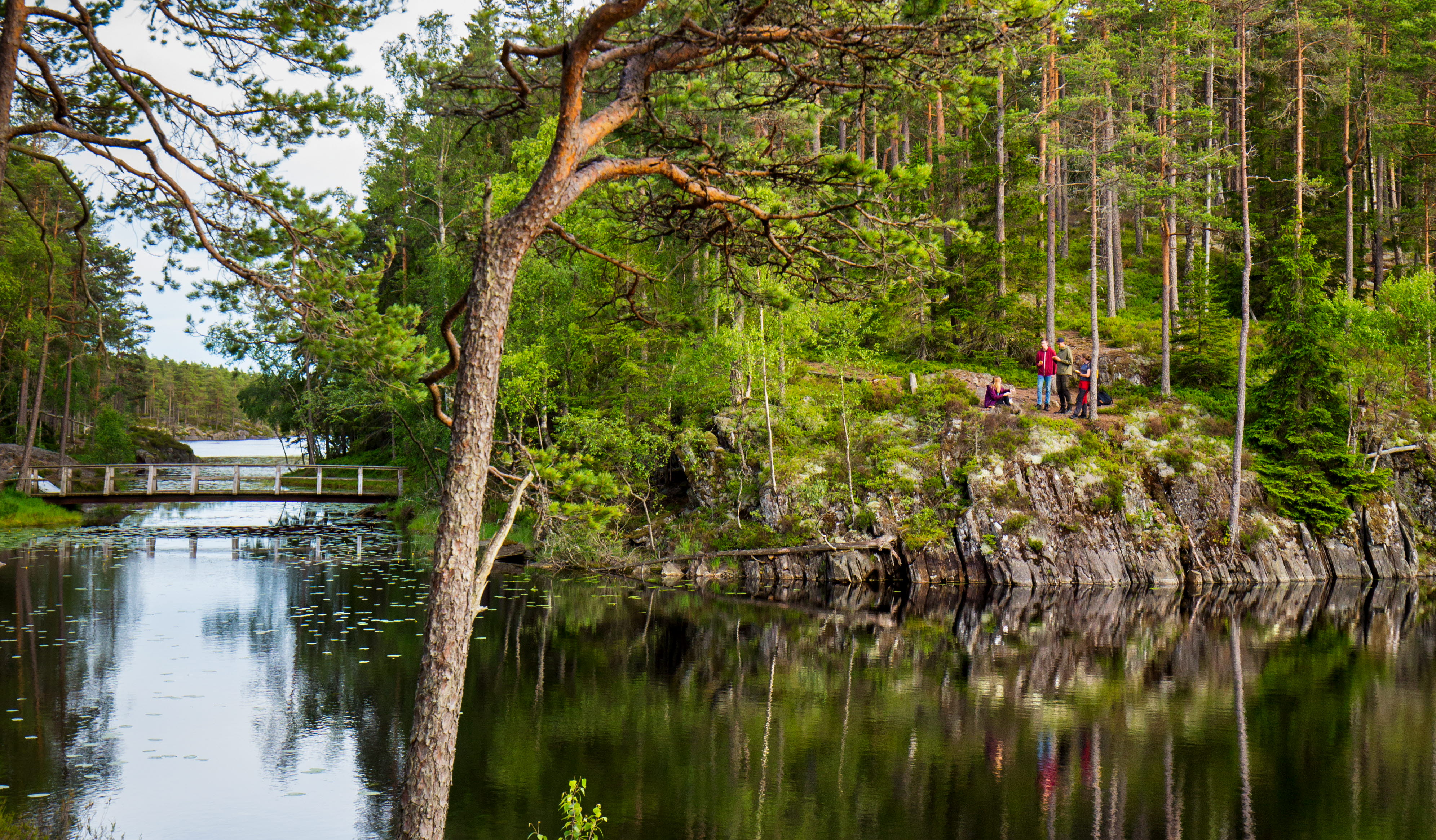 Vandring i Tresticklan nationalpark 