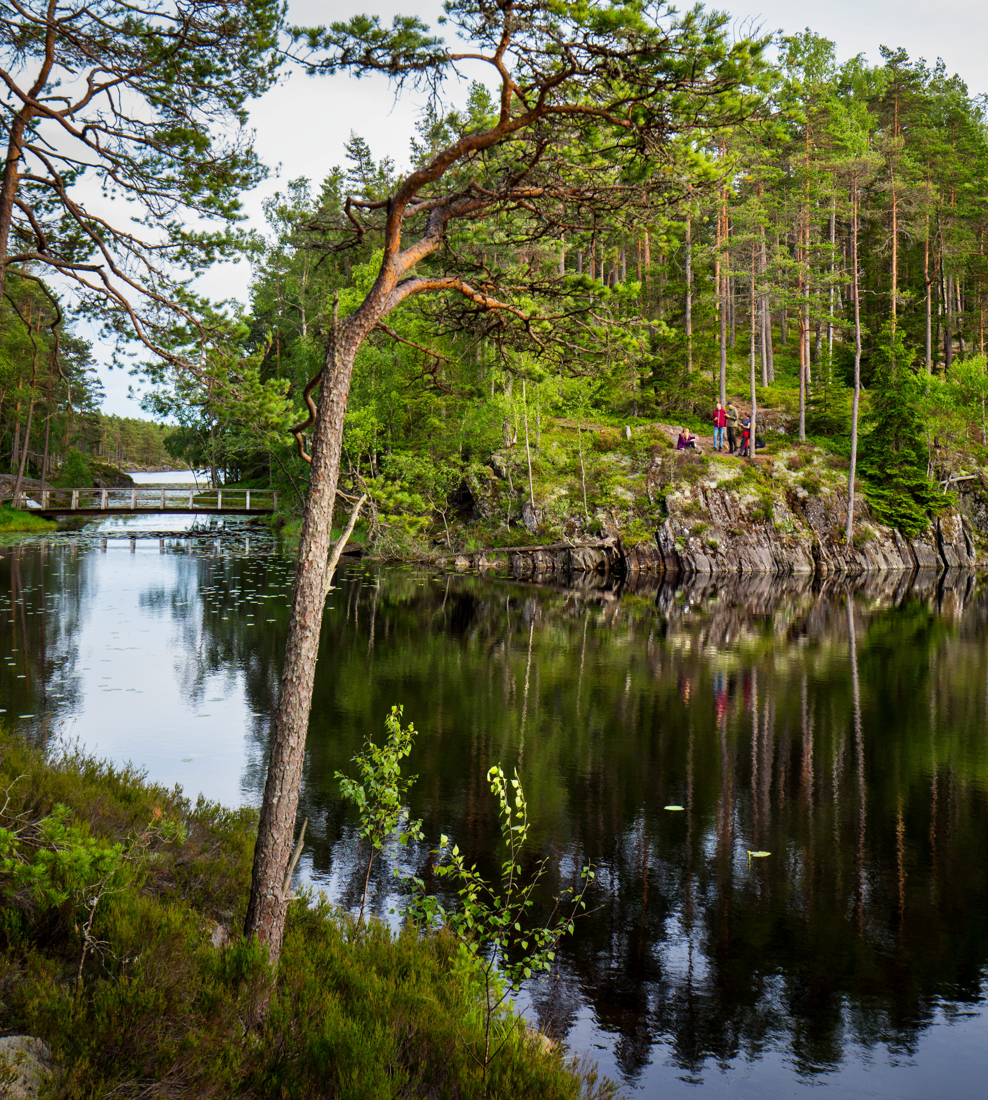 Walk in Tresticklan national park