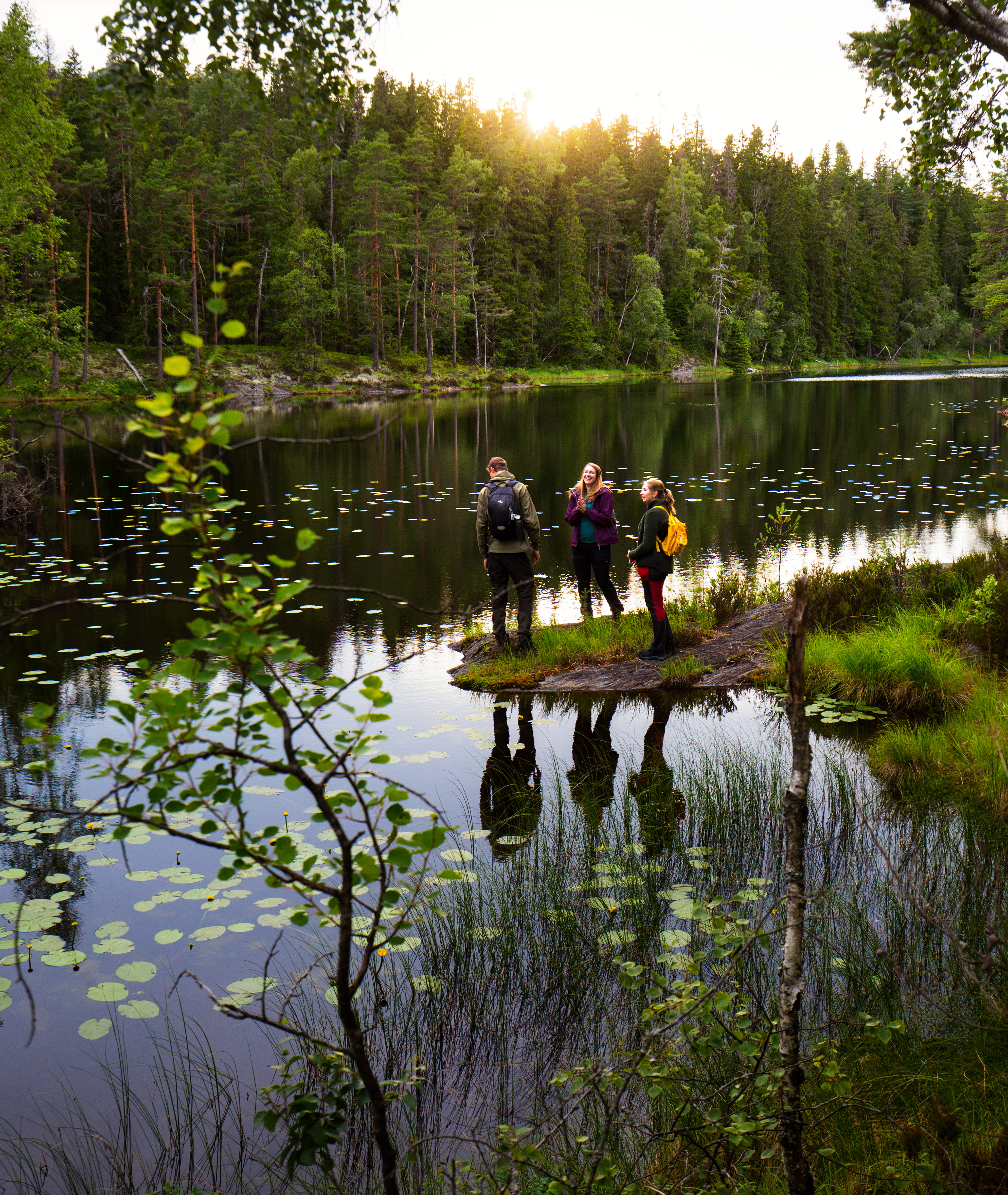 Vandring i Tresticklan nationalpark 