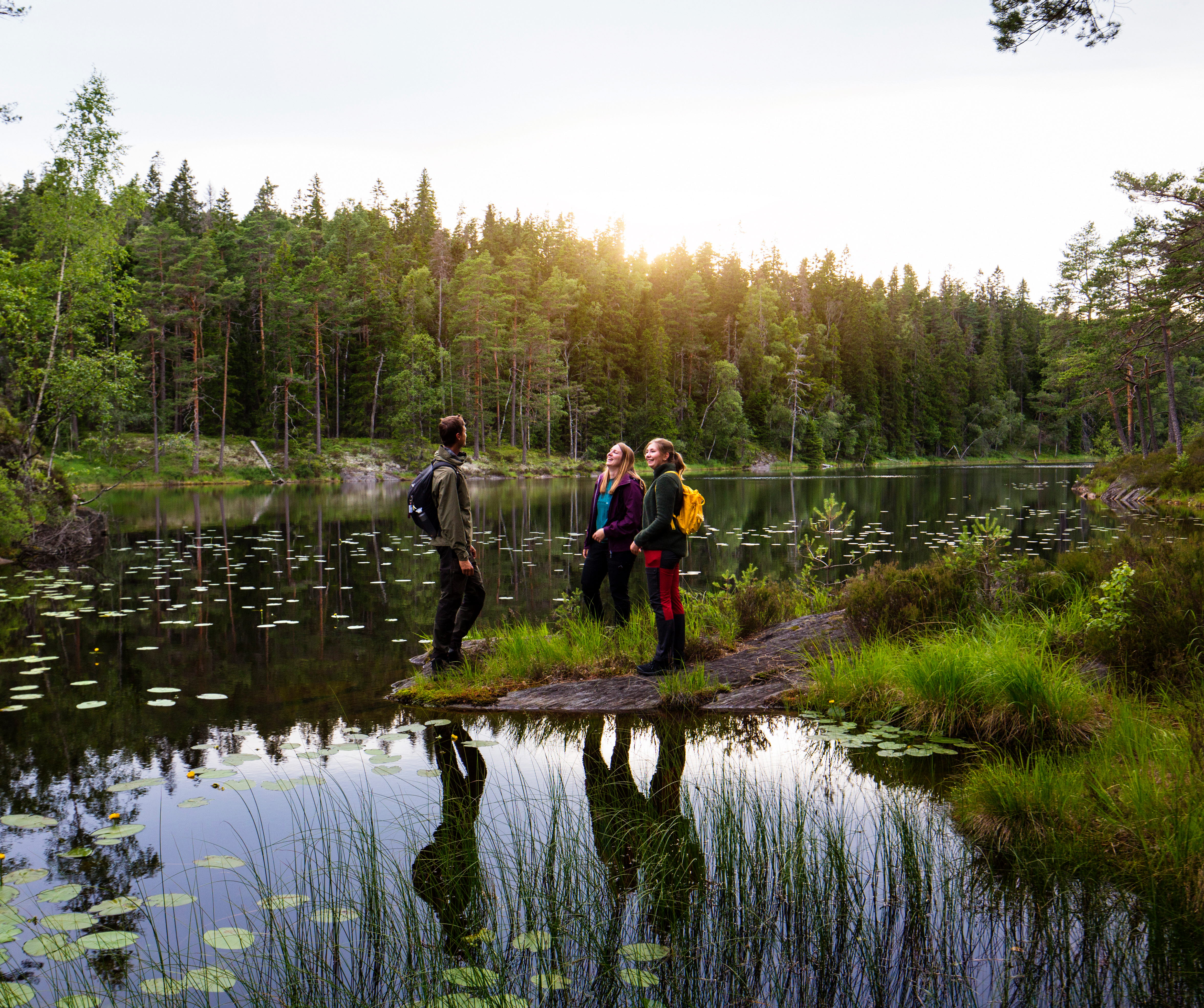 Walk in Tresticklan national park
