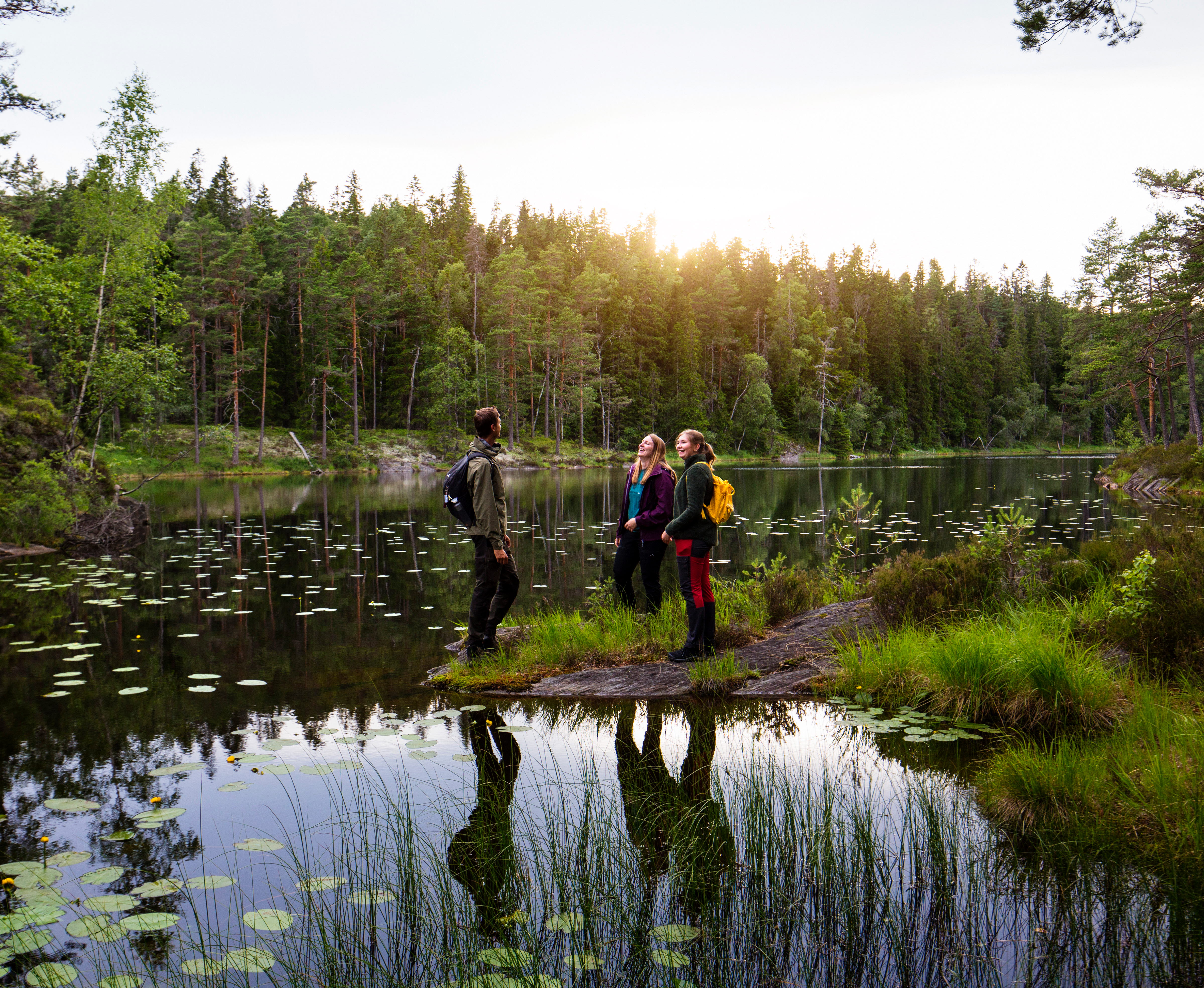 Vandring i Tresticklan nationalpark 