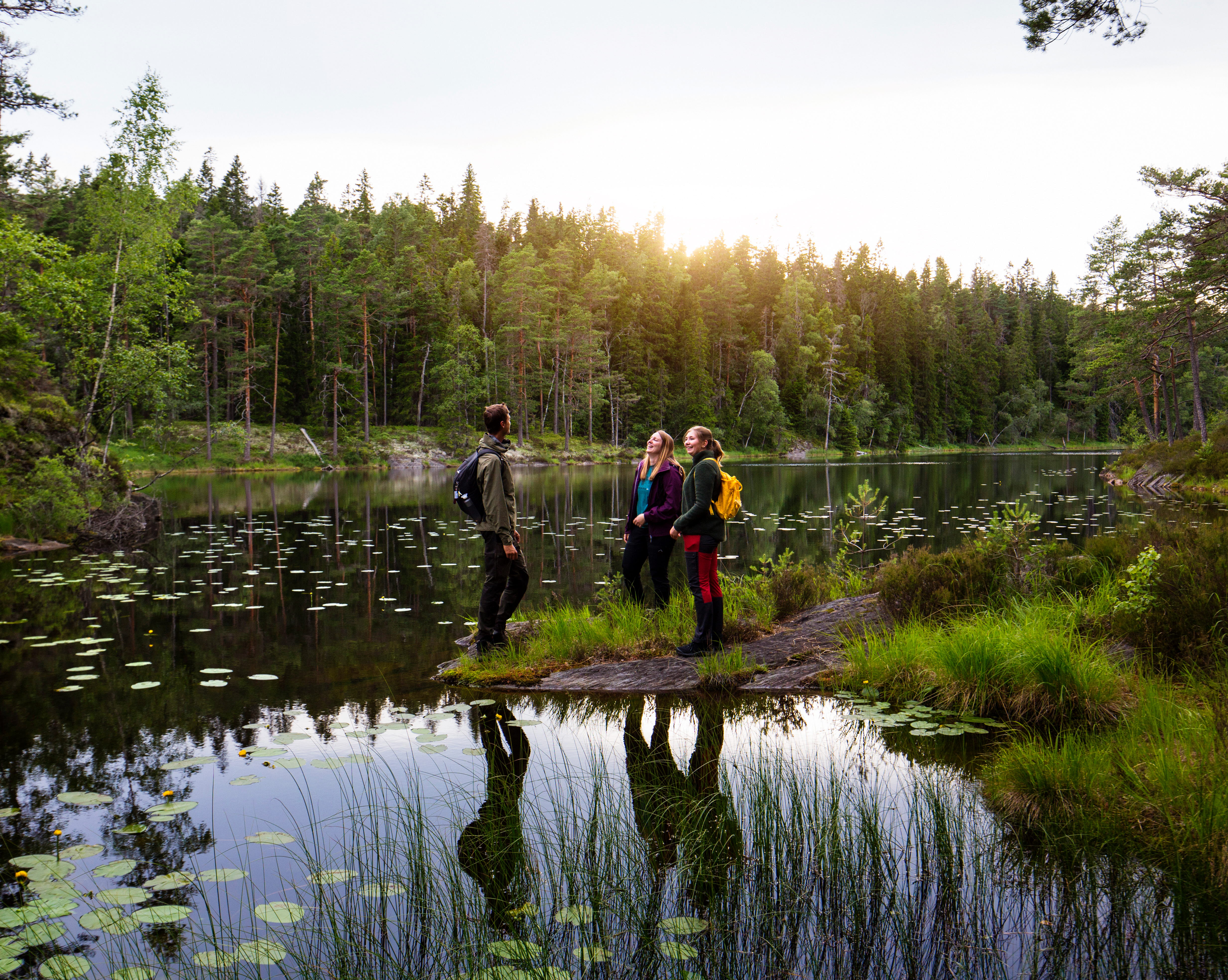 Walk in Tresticklan national park