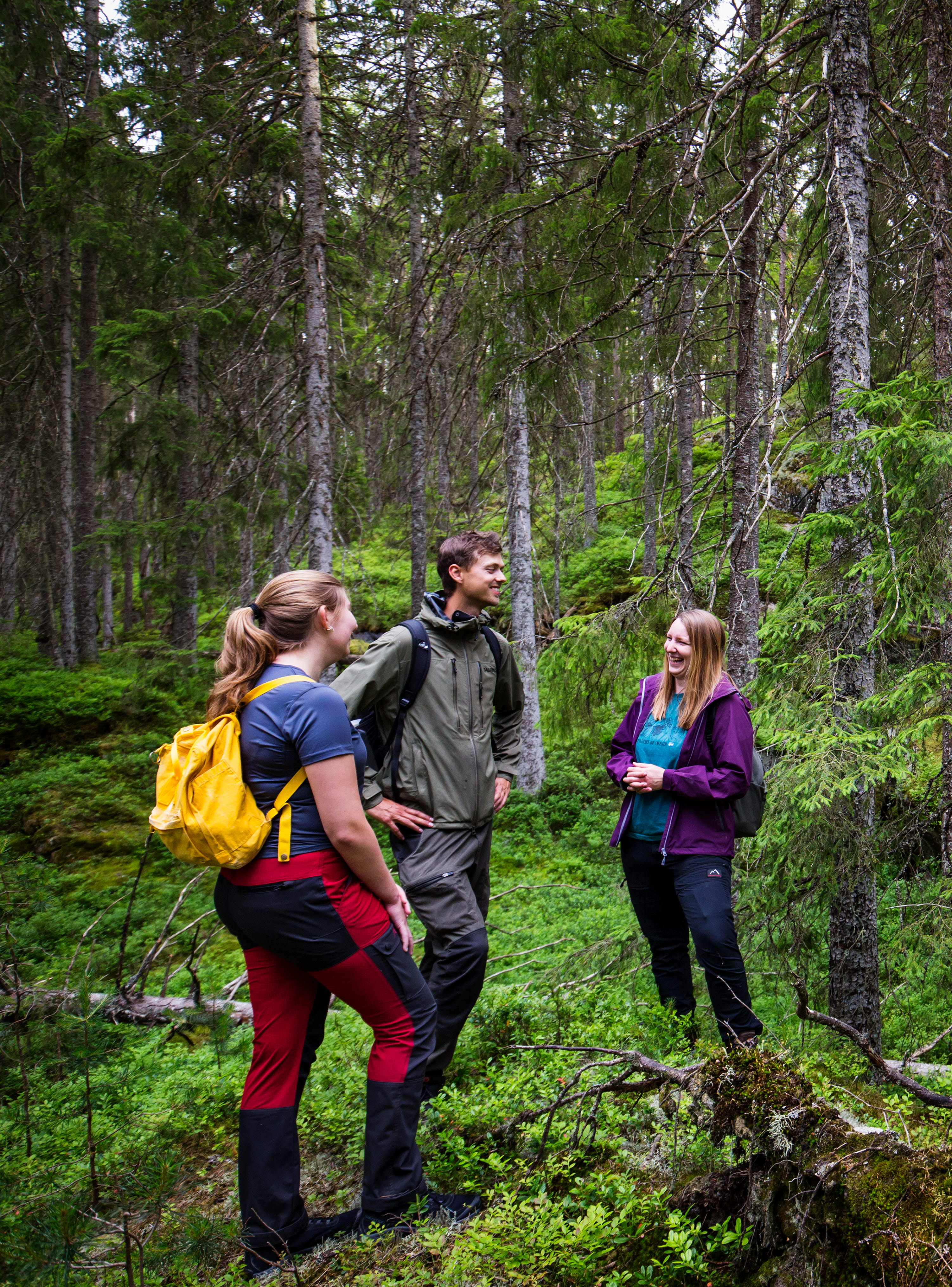 Vandring i Tresticklan nationalpark 