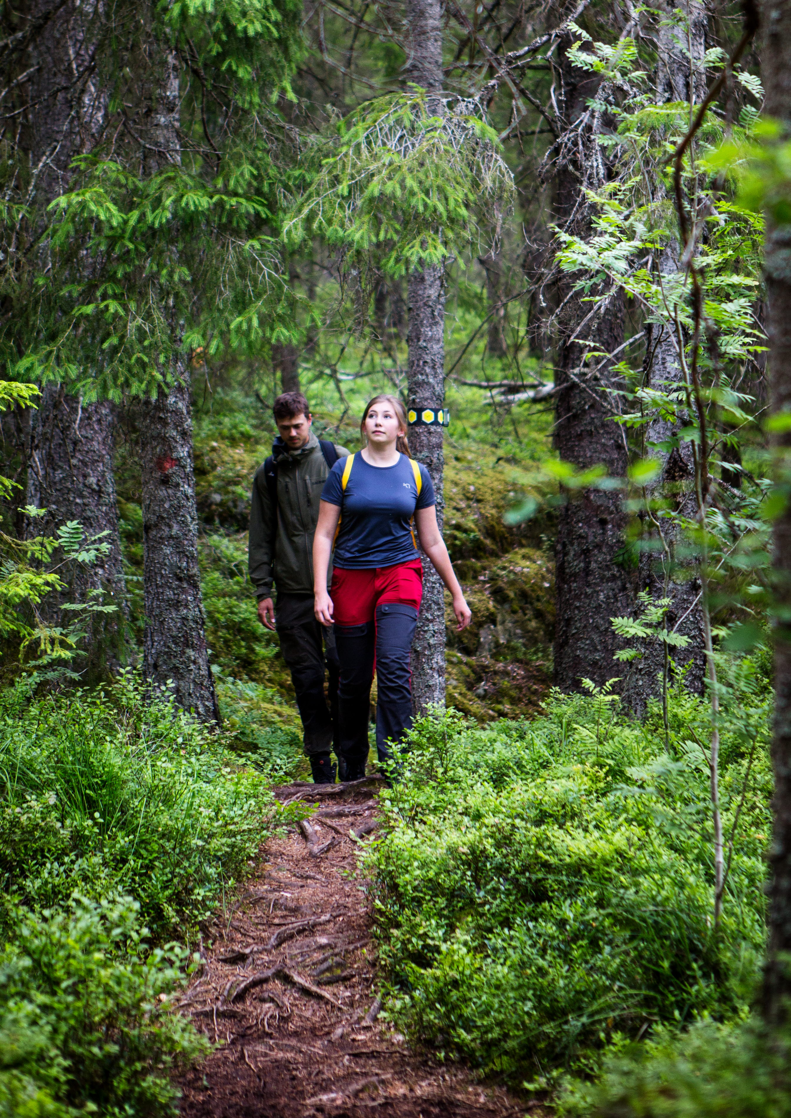 Vandring i Tresticklan nationalpark 