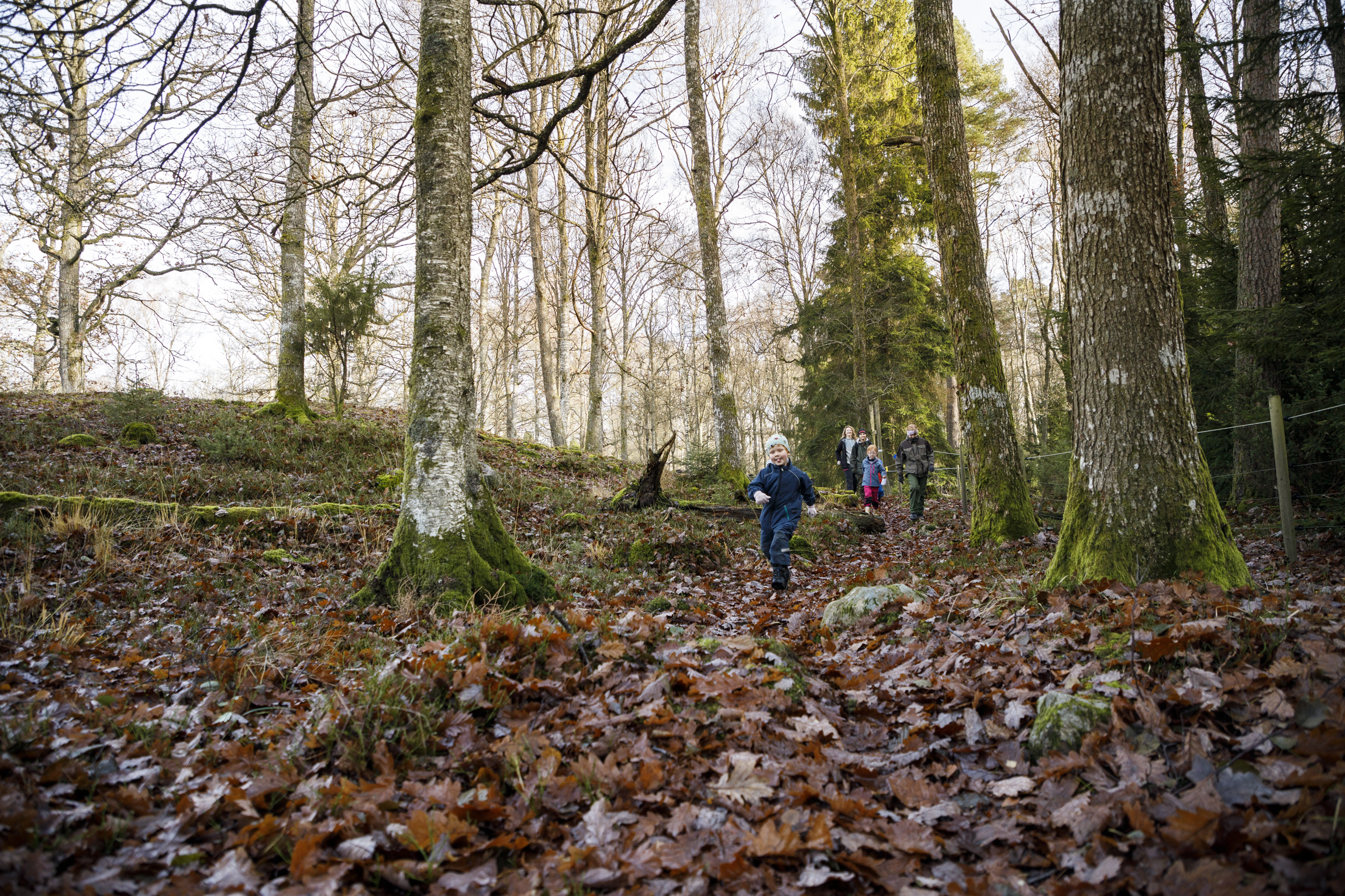 Barn som aktiverar sig utomhus hos Två Skyttlar.