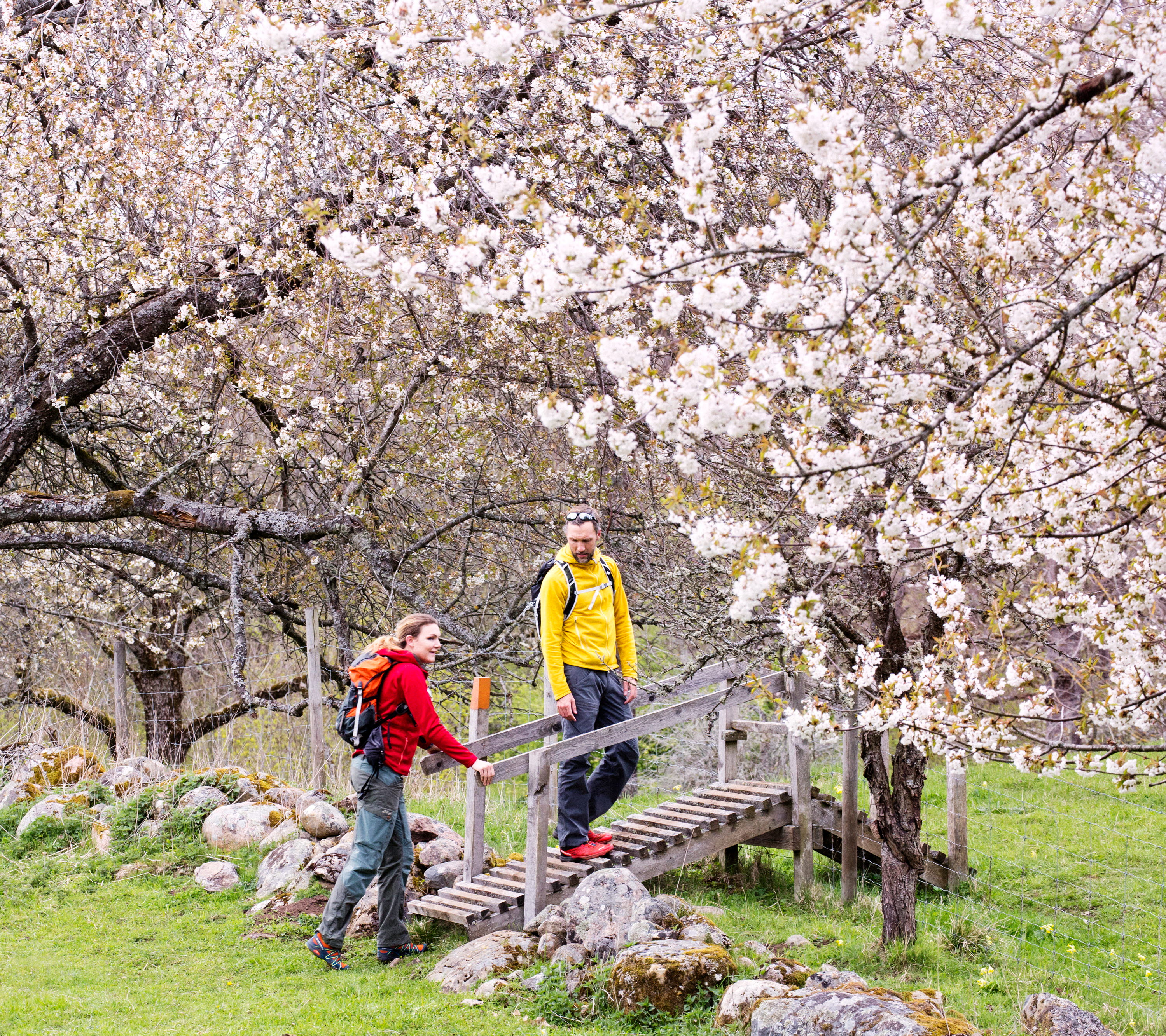 Couple hiking 