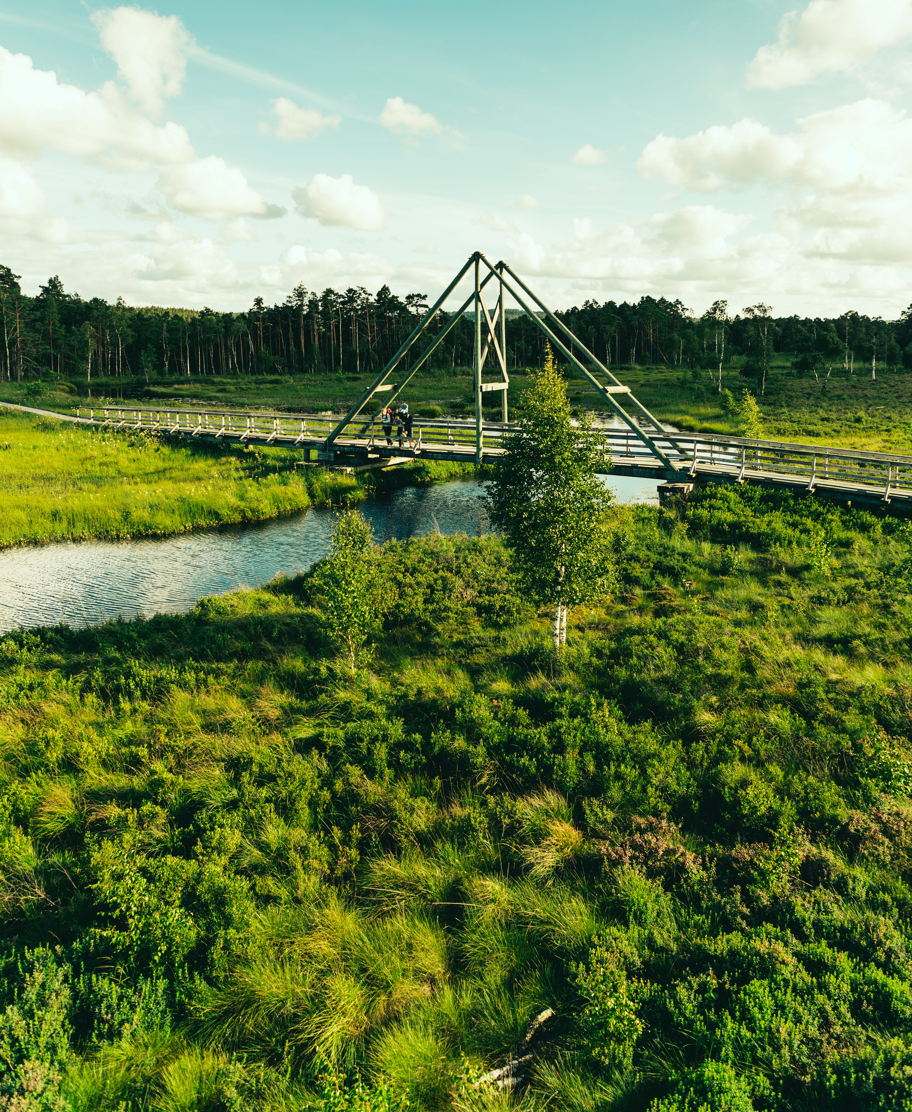 Familj på Vänga Mosse