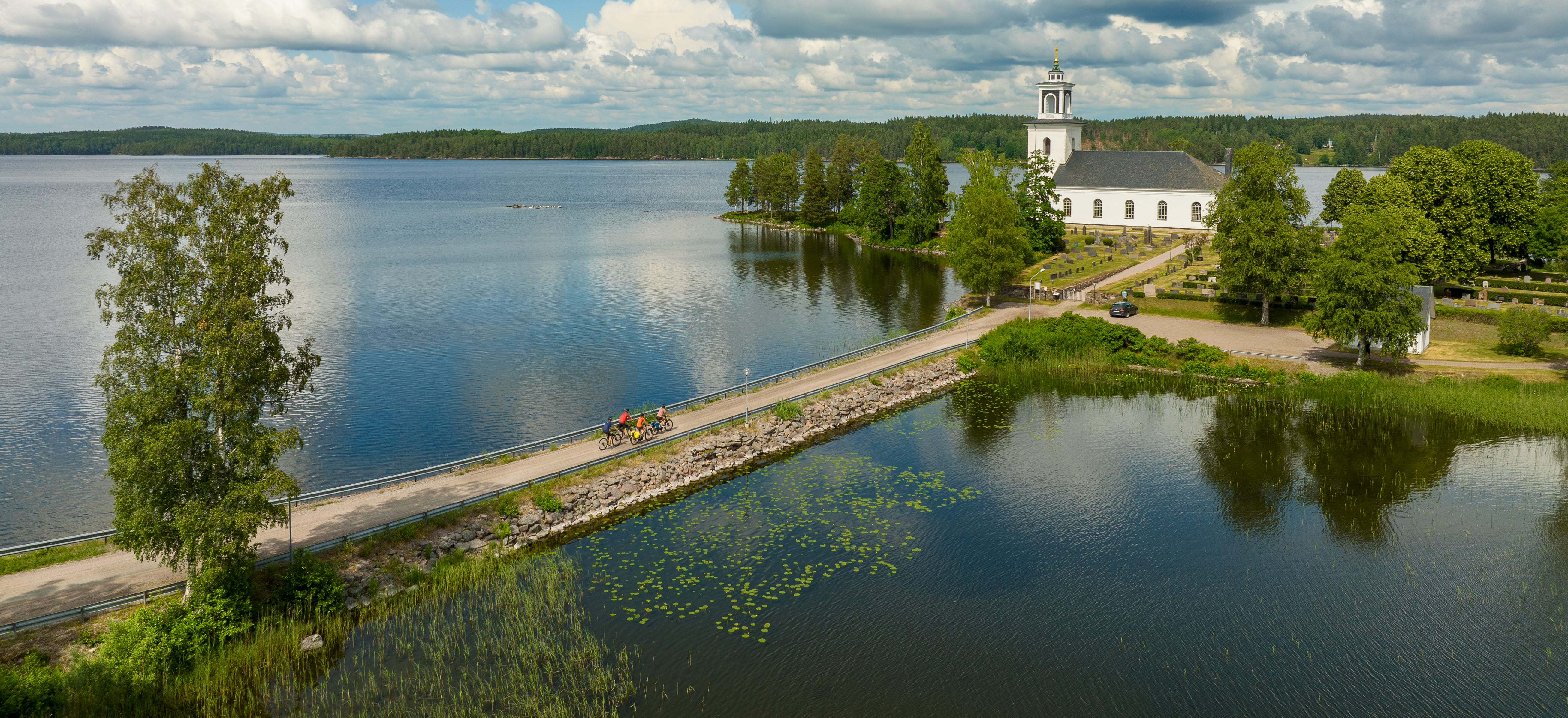 Cyclists on forest roads.