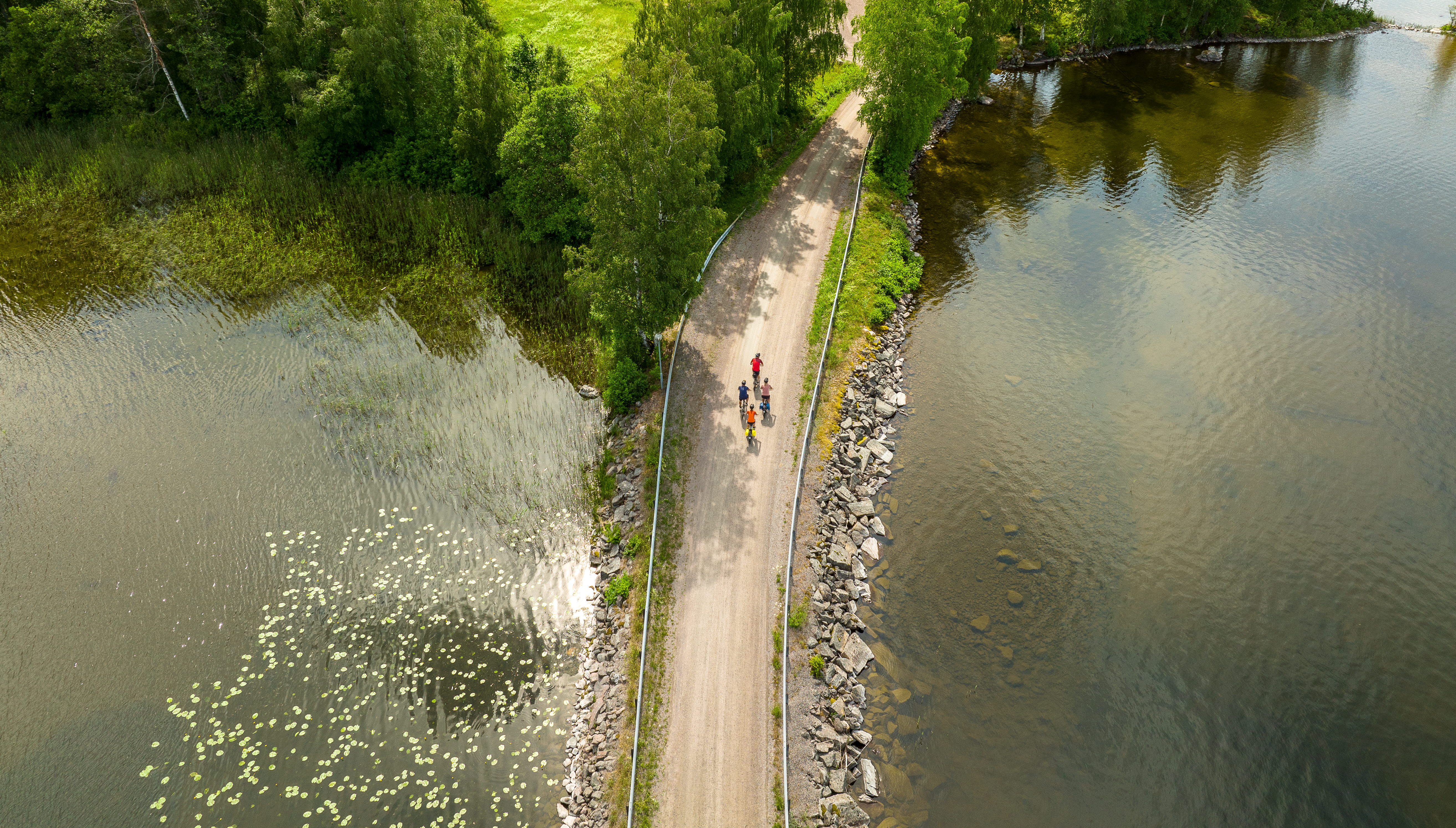 Cyclists on forest roads.