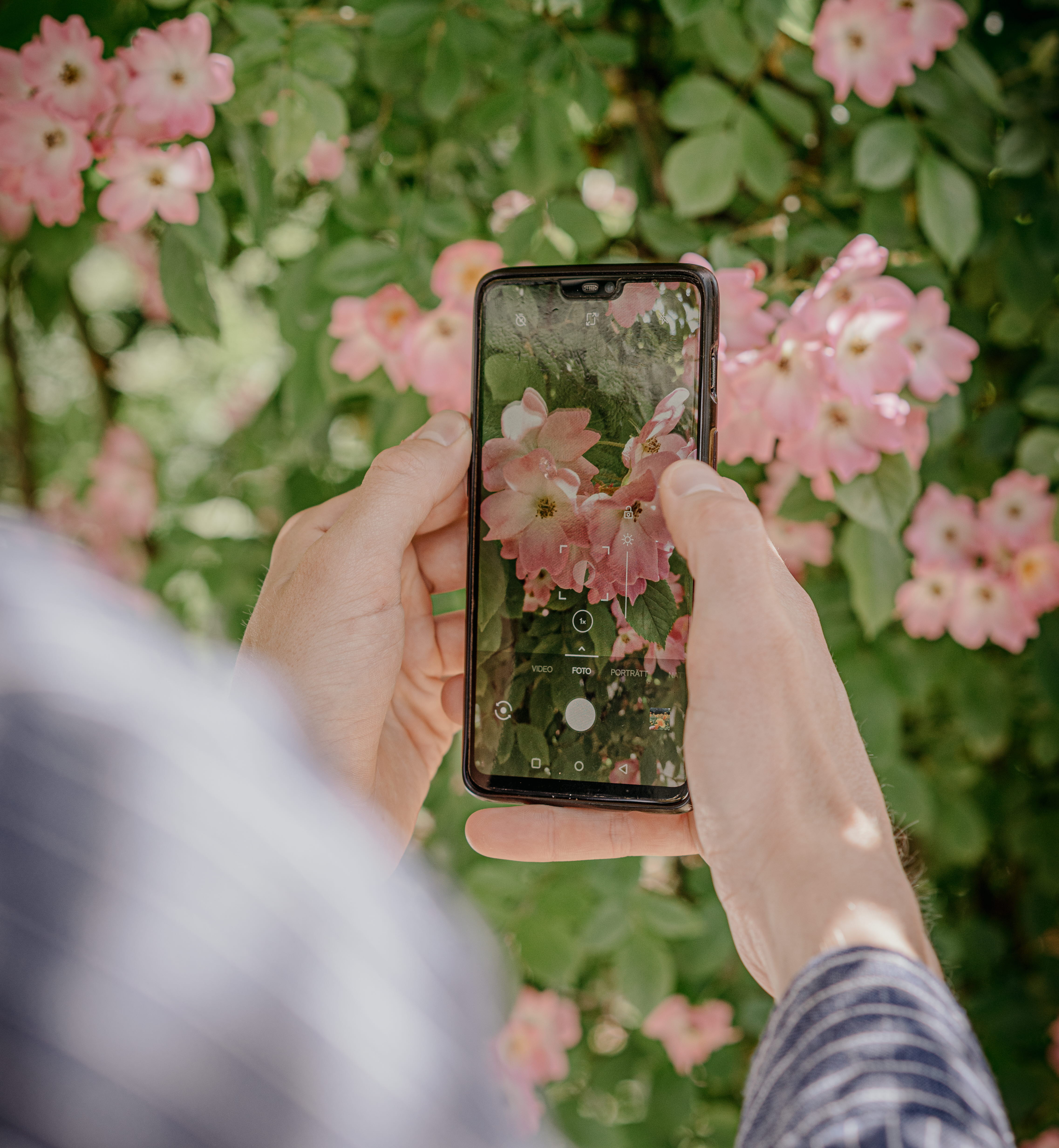 Besökare hos Växtrum i Lerum