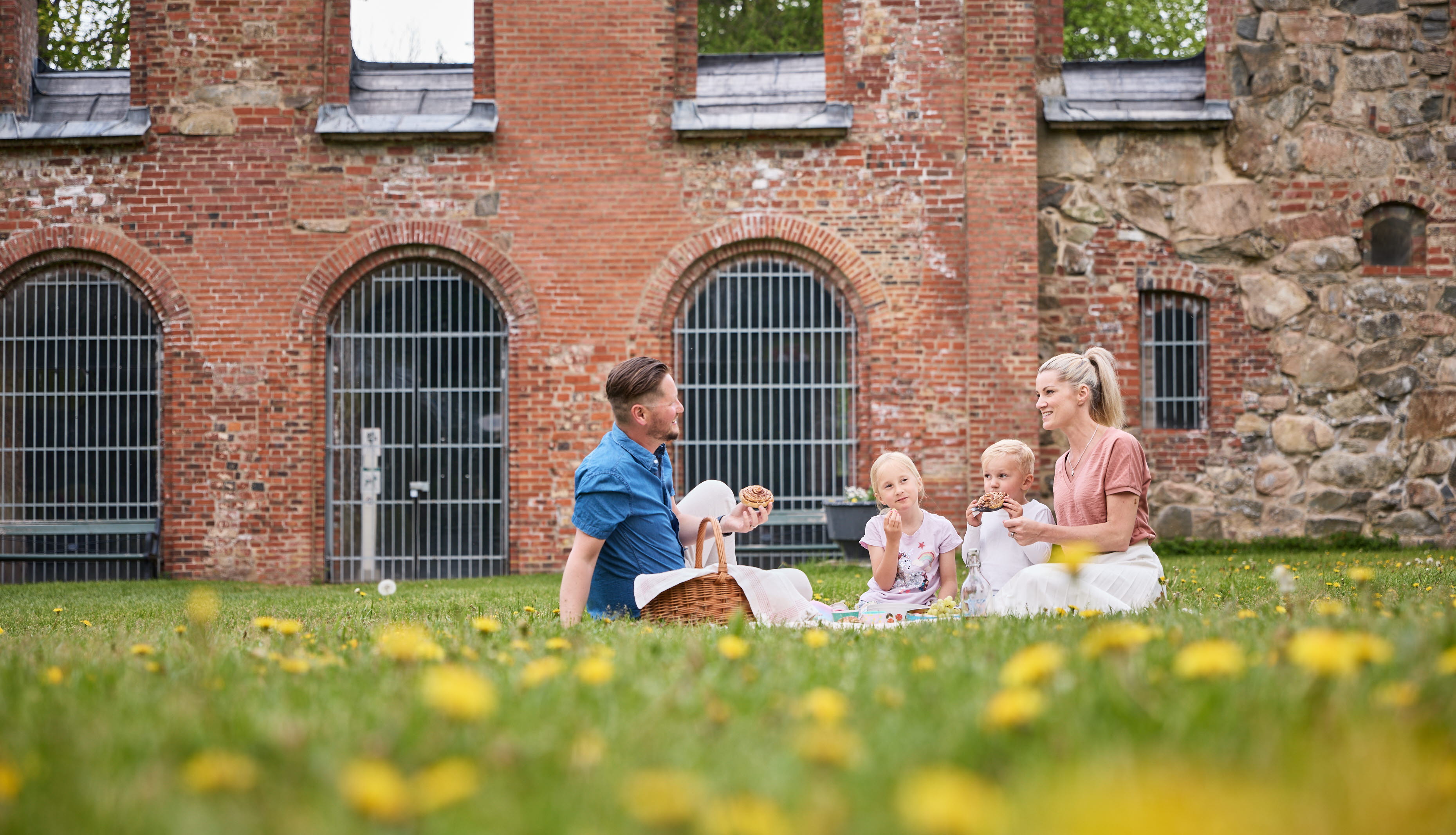 Familj har pick-nick i gräs.