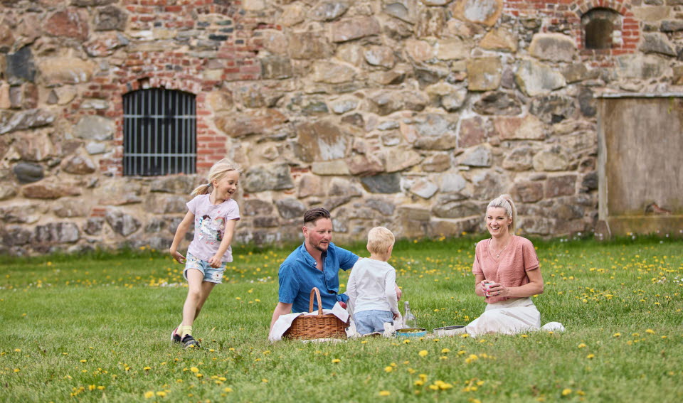 Family has a picnic in the grass.