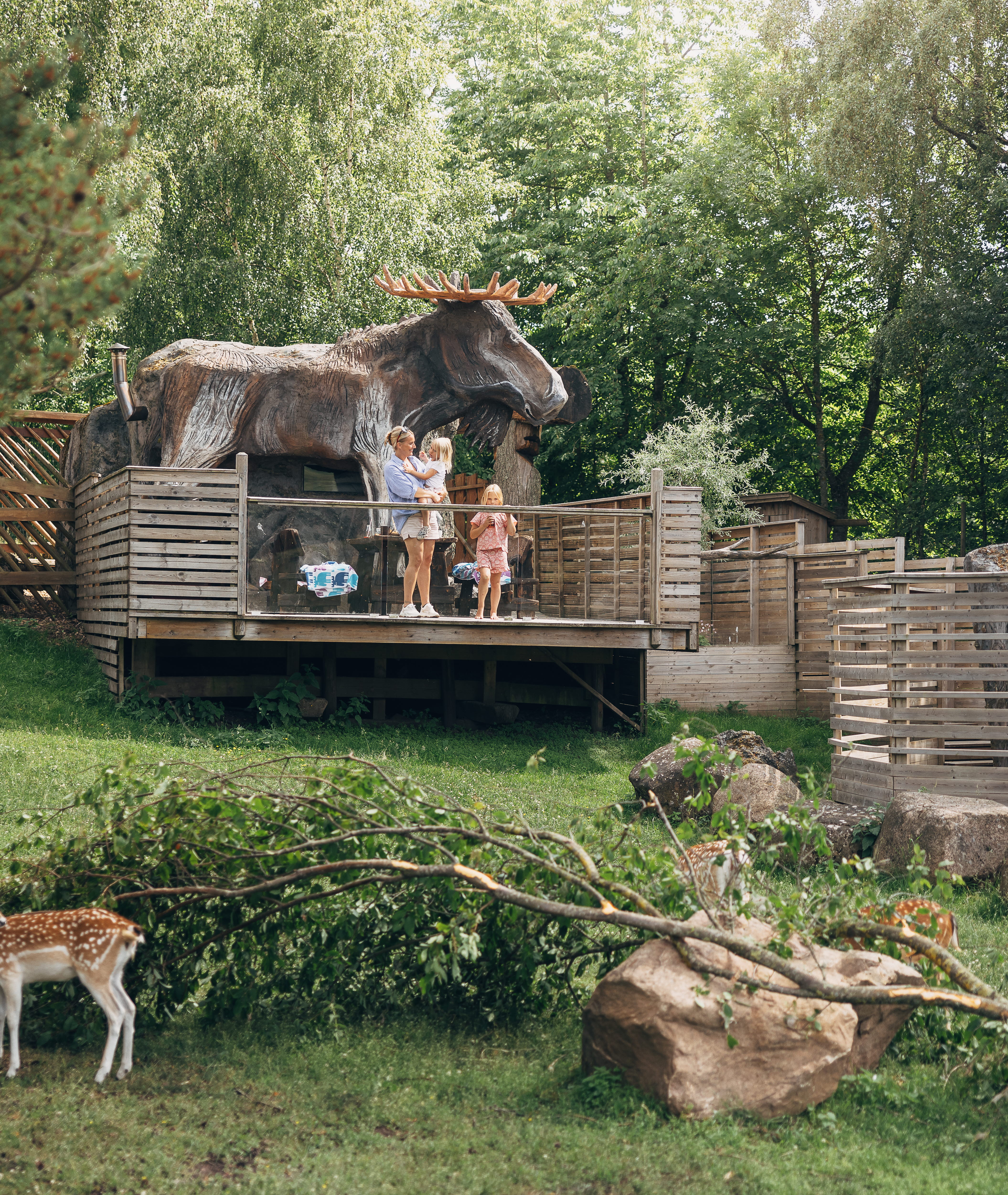 Familj vistas på Älghotellet hos Wrågården.