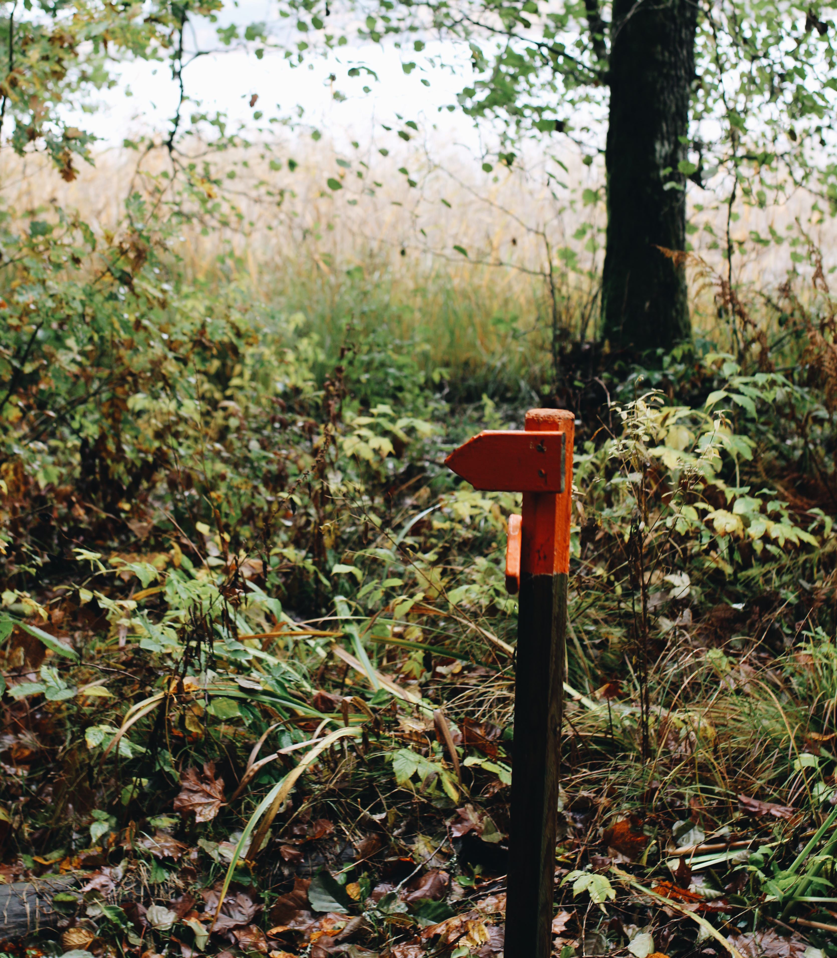 Hike at Åsundenleden