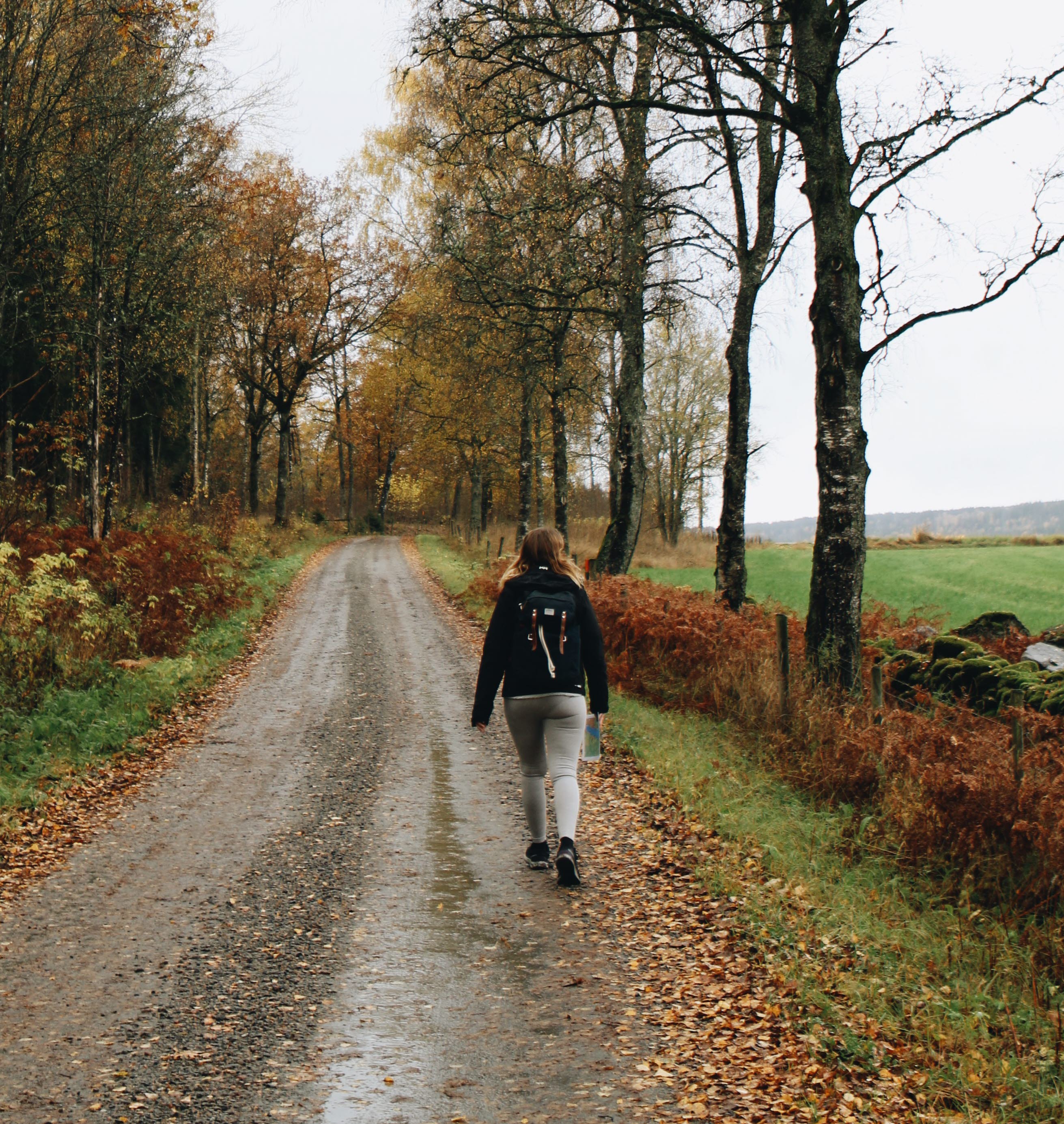 Hike at Åsundenleden