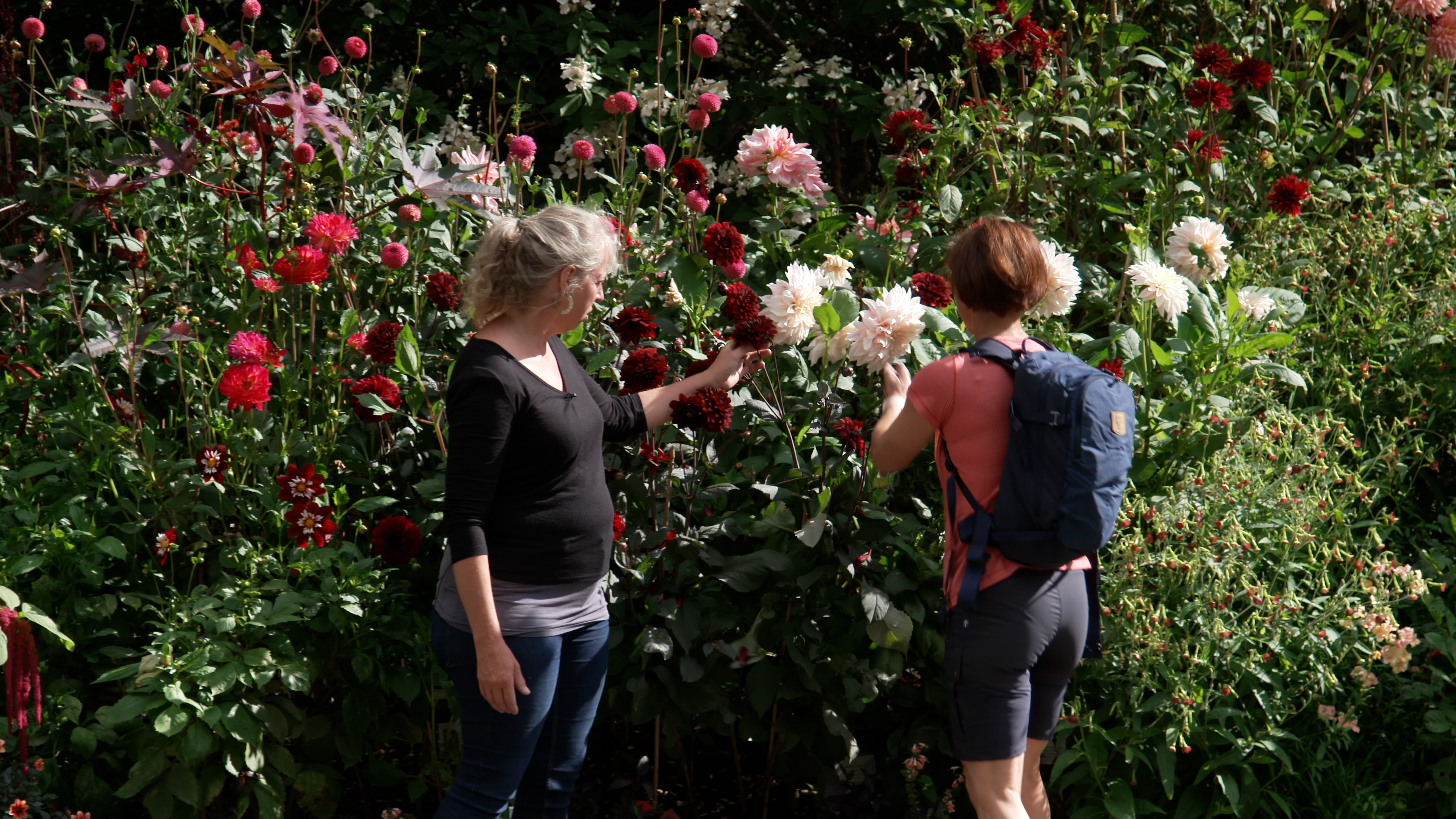 Uschi Disl in Gothenburg Botanical Garden