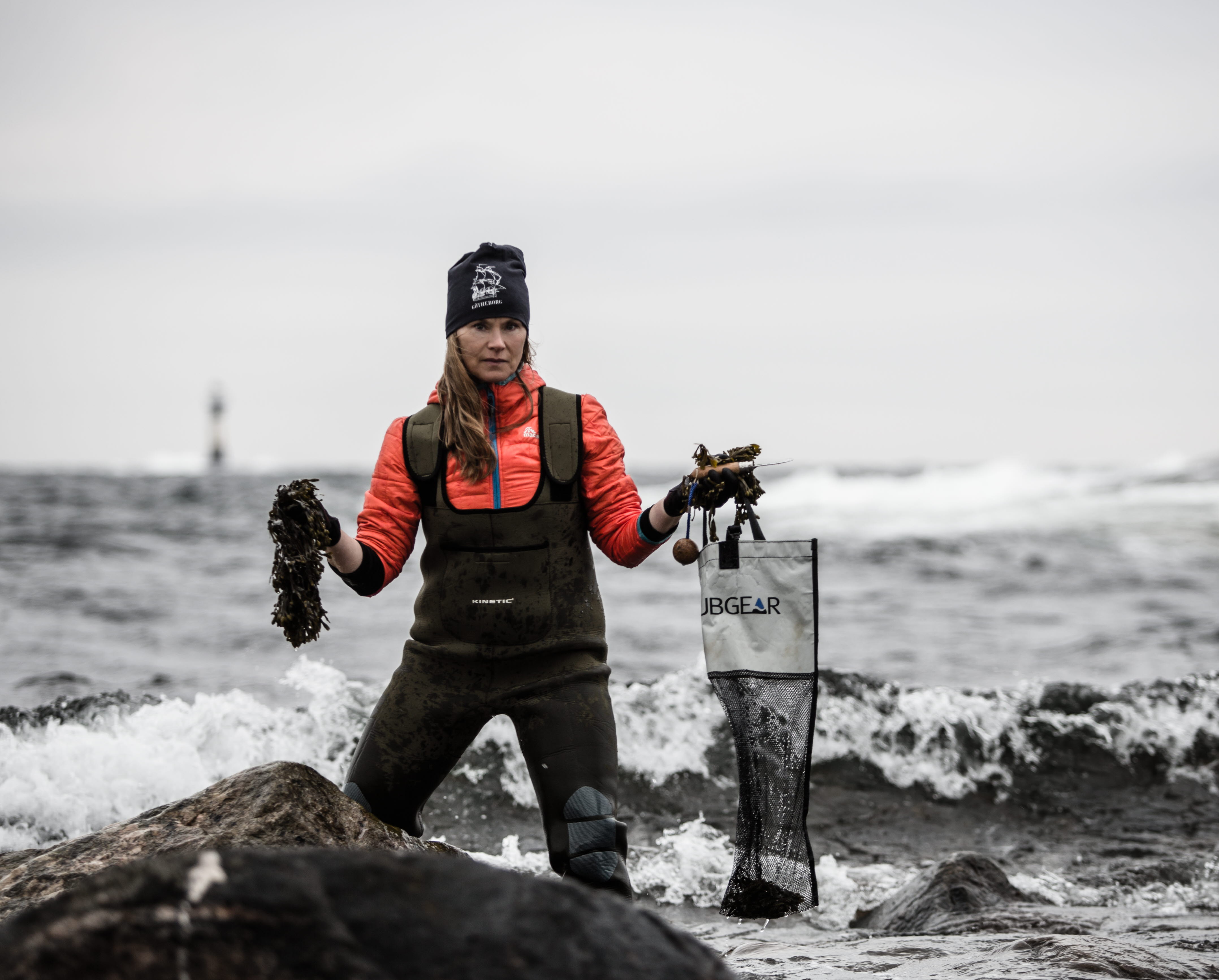 Woman harvesting seaweed