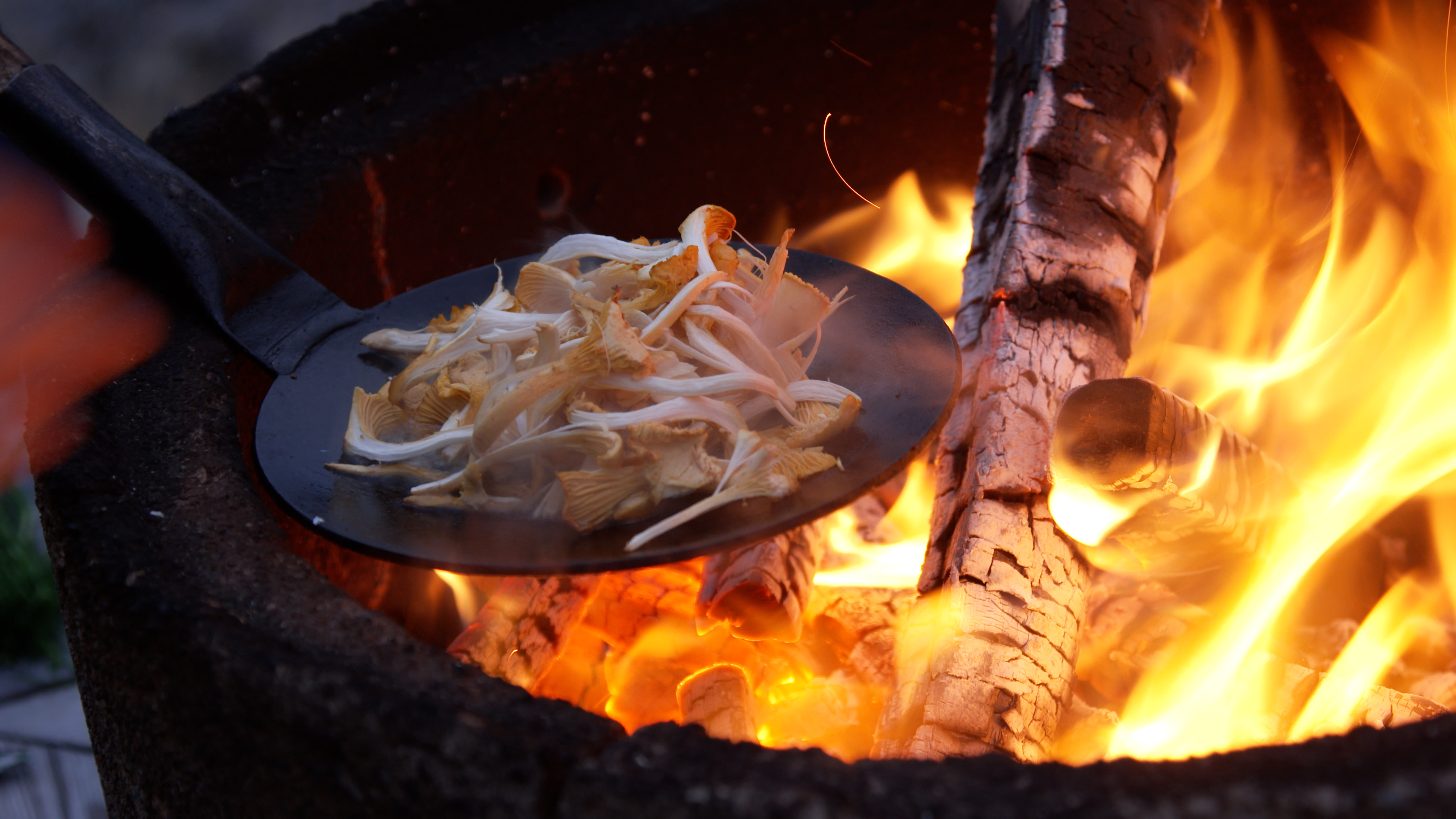 Dalslands Aktiviteter