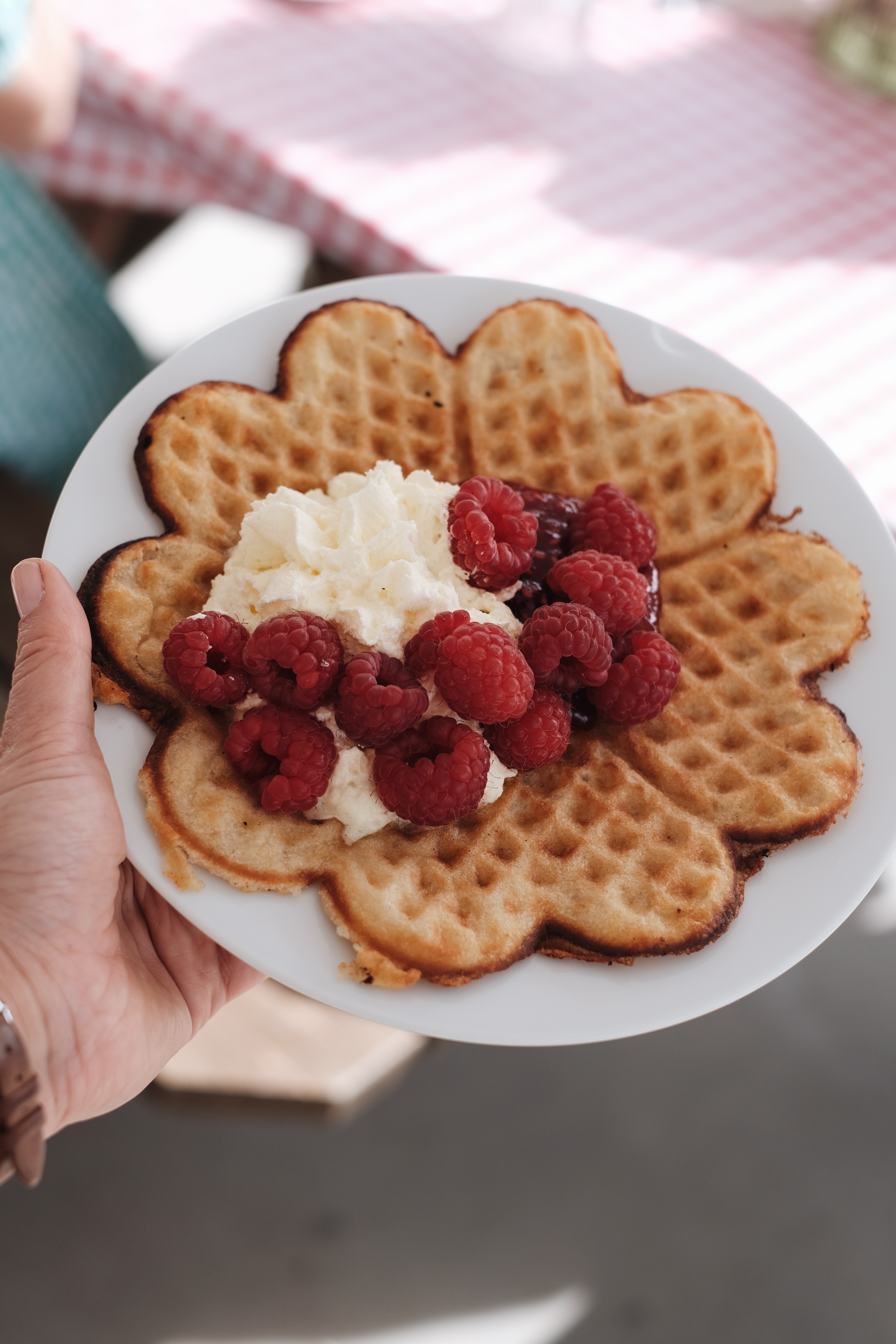 Plate with freshly baked waffle.