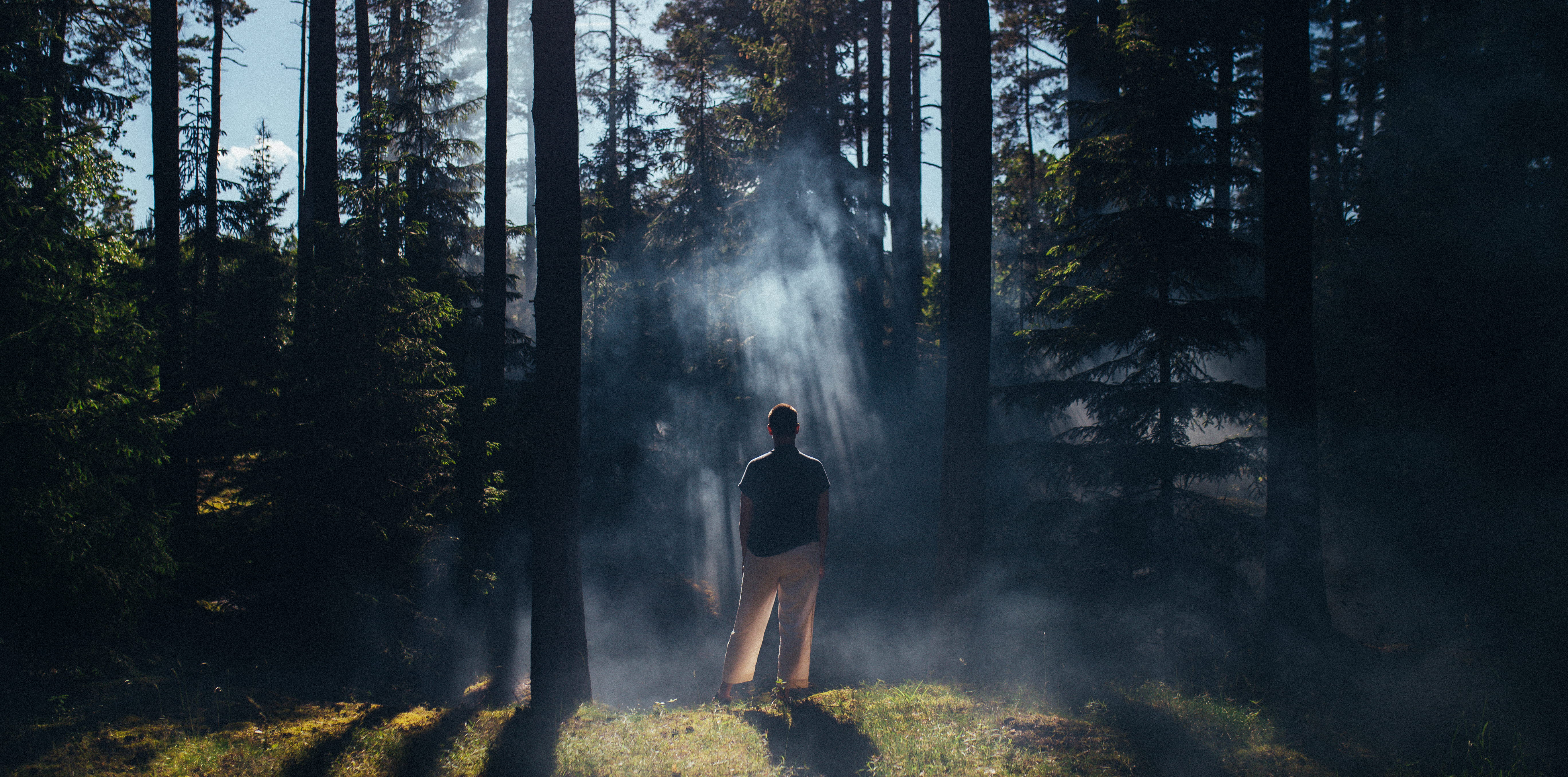 Skogsbad vid Lidköping