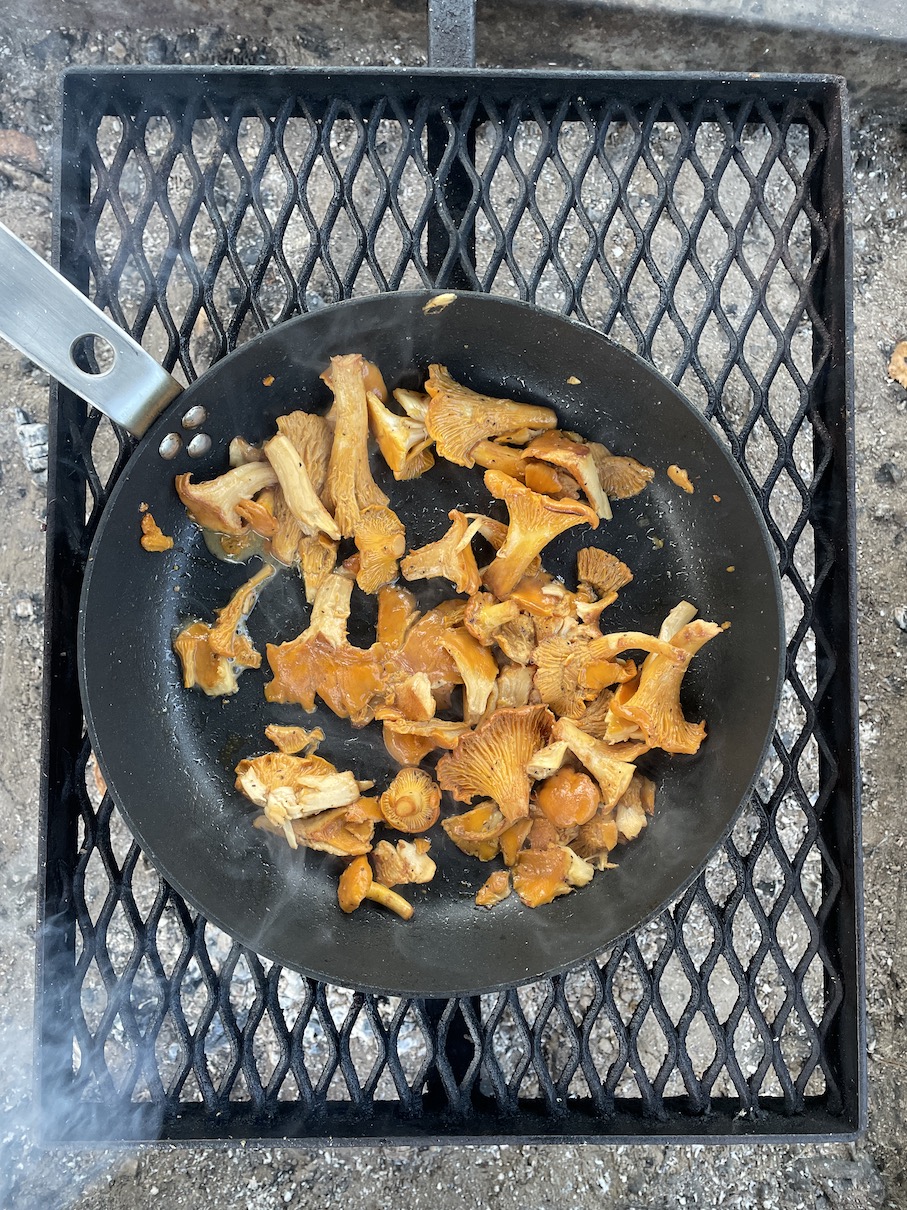 A frying pan with chanterelles.
