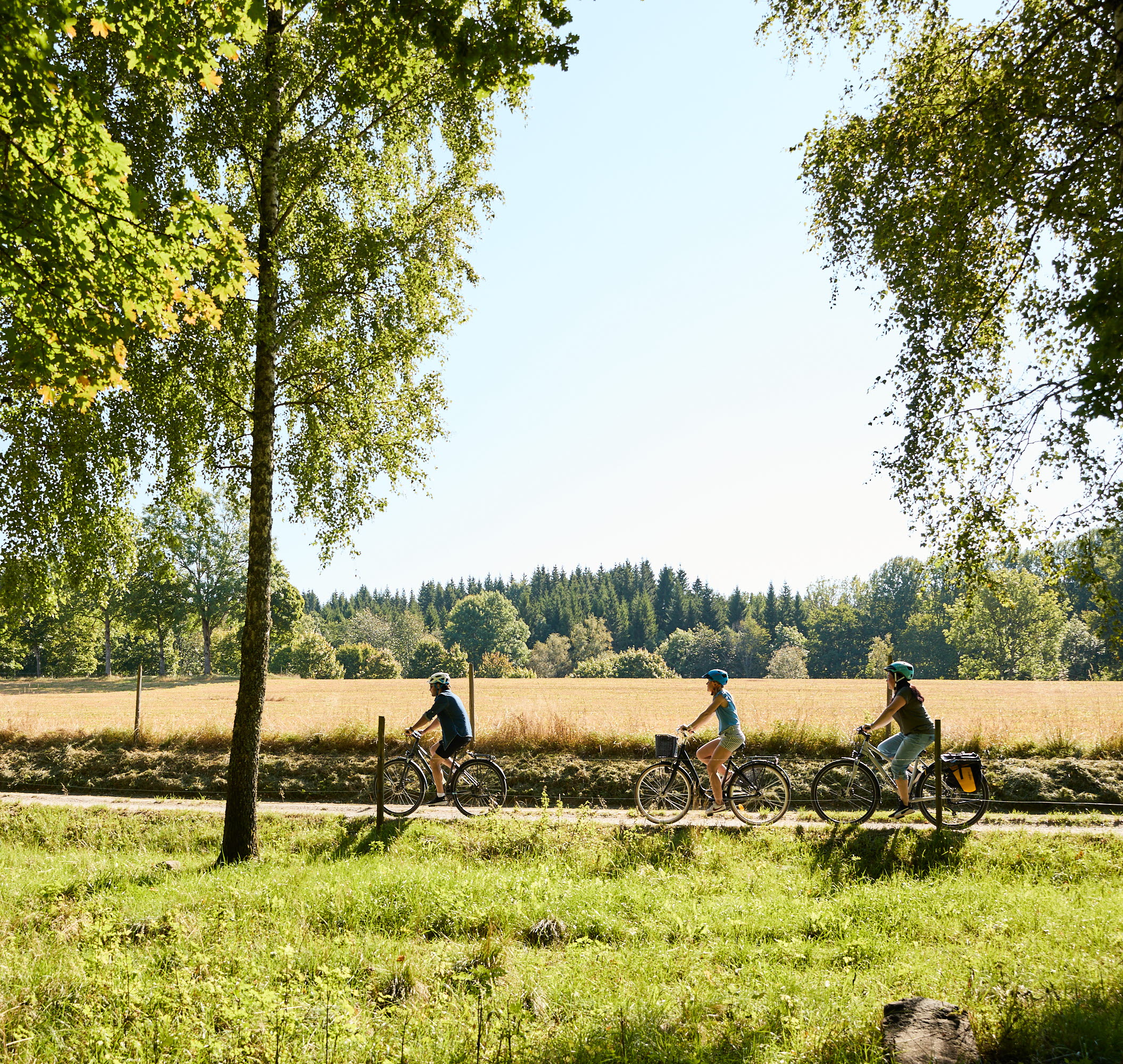 Cykling vid Hemma hos Källebacka