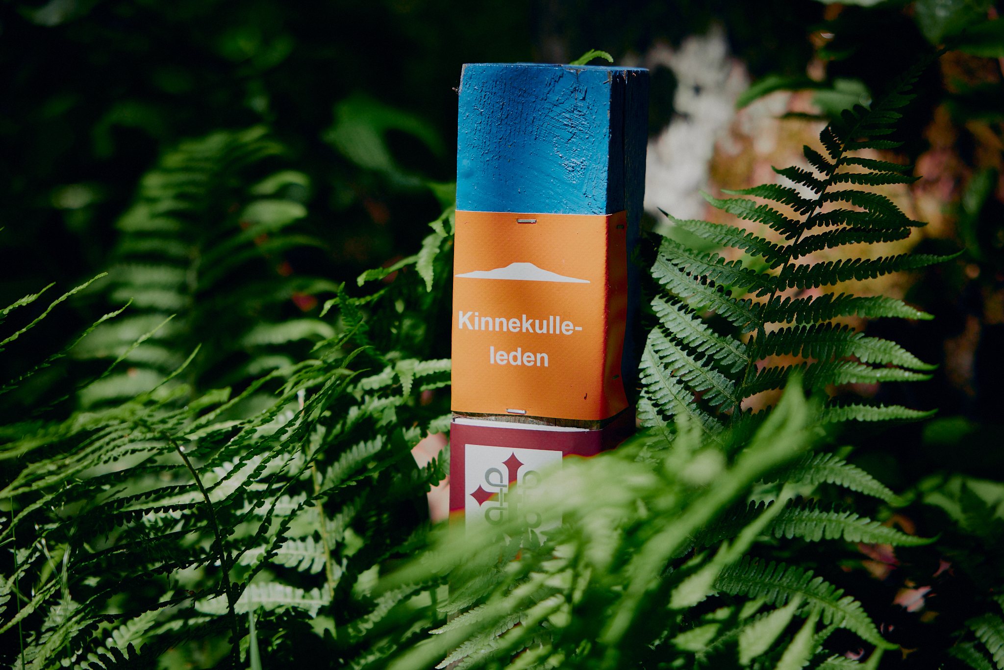 Cykla på Kinnekulle