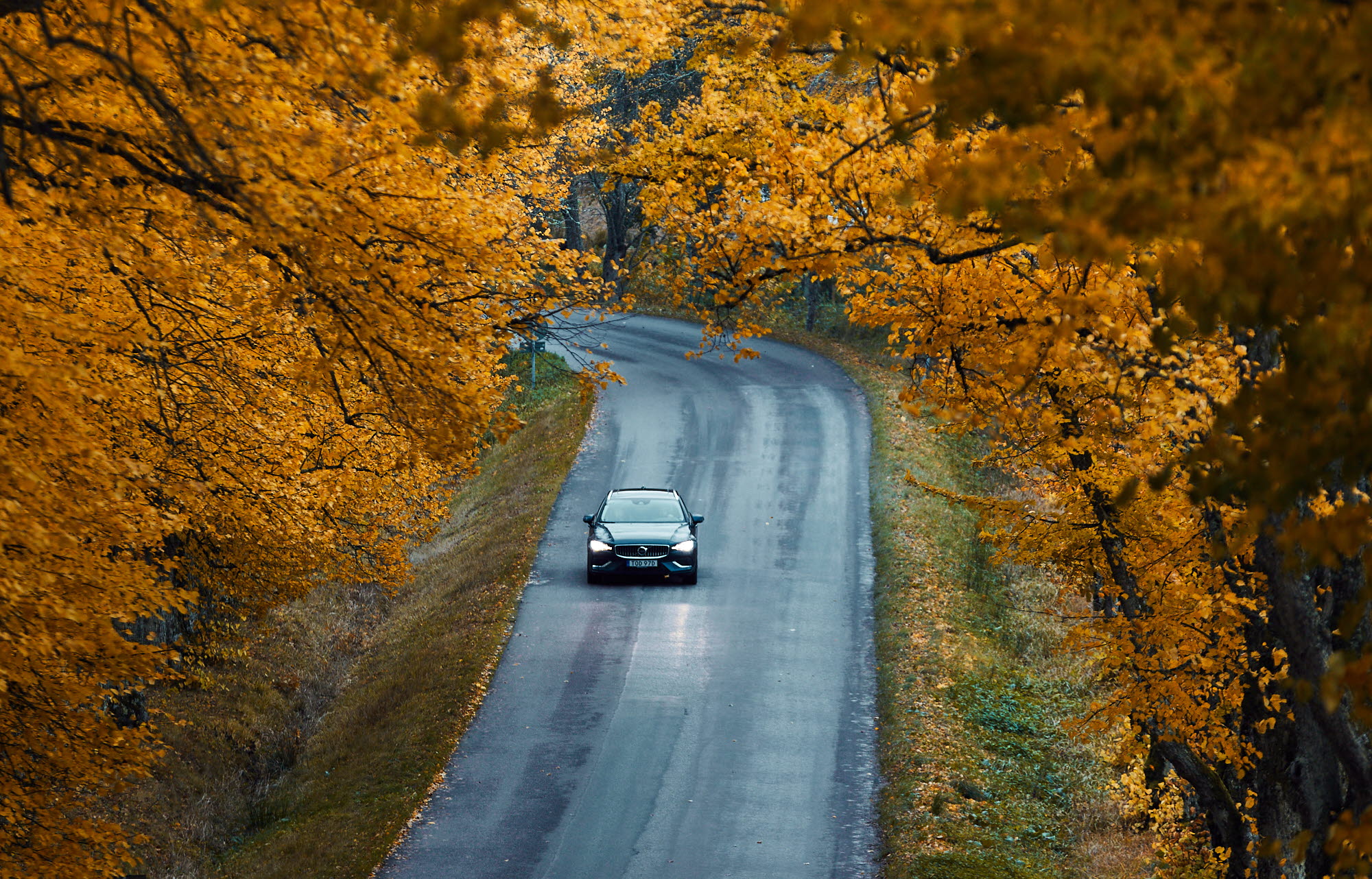 Höst vid Nääs Slott