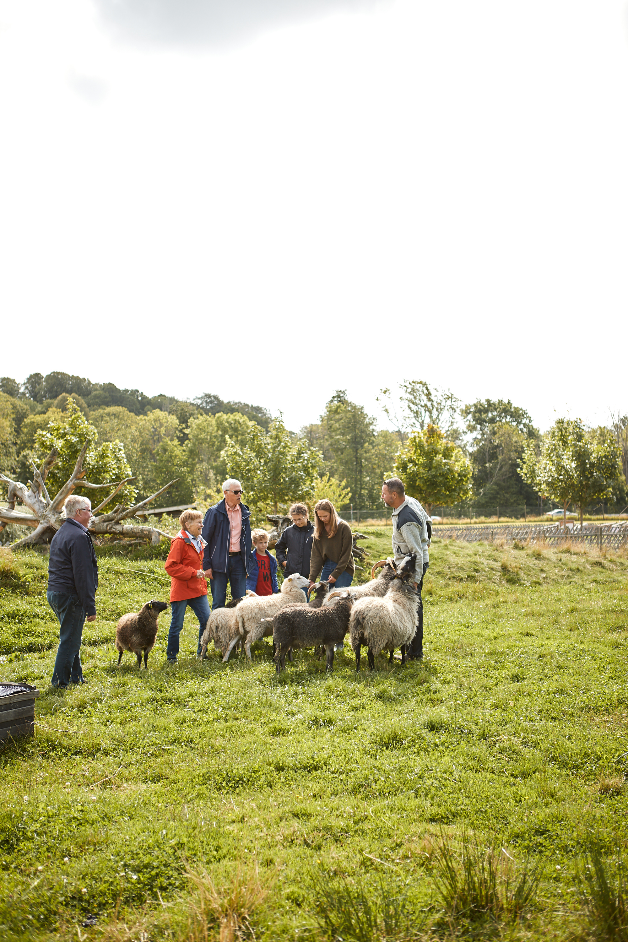 People watching animals at Nordens Ark