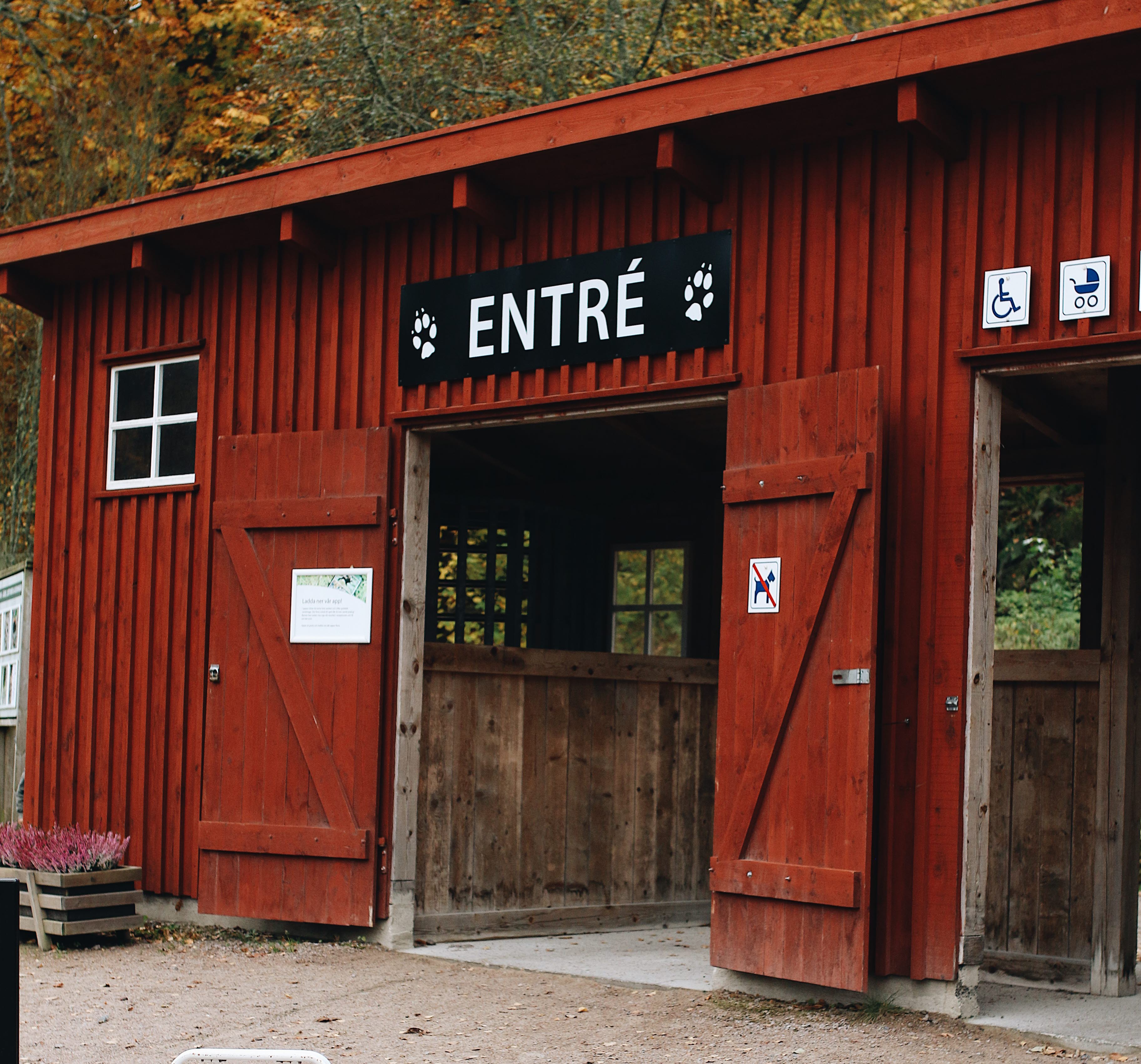 Familjeaktivitet hos Nordens Ark