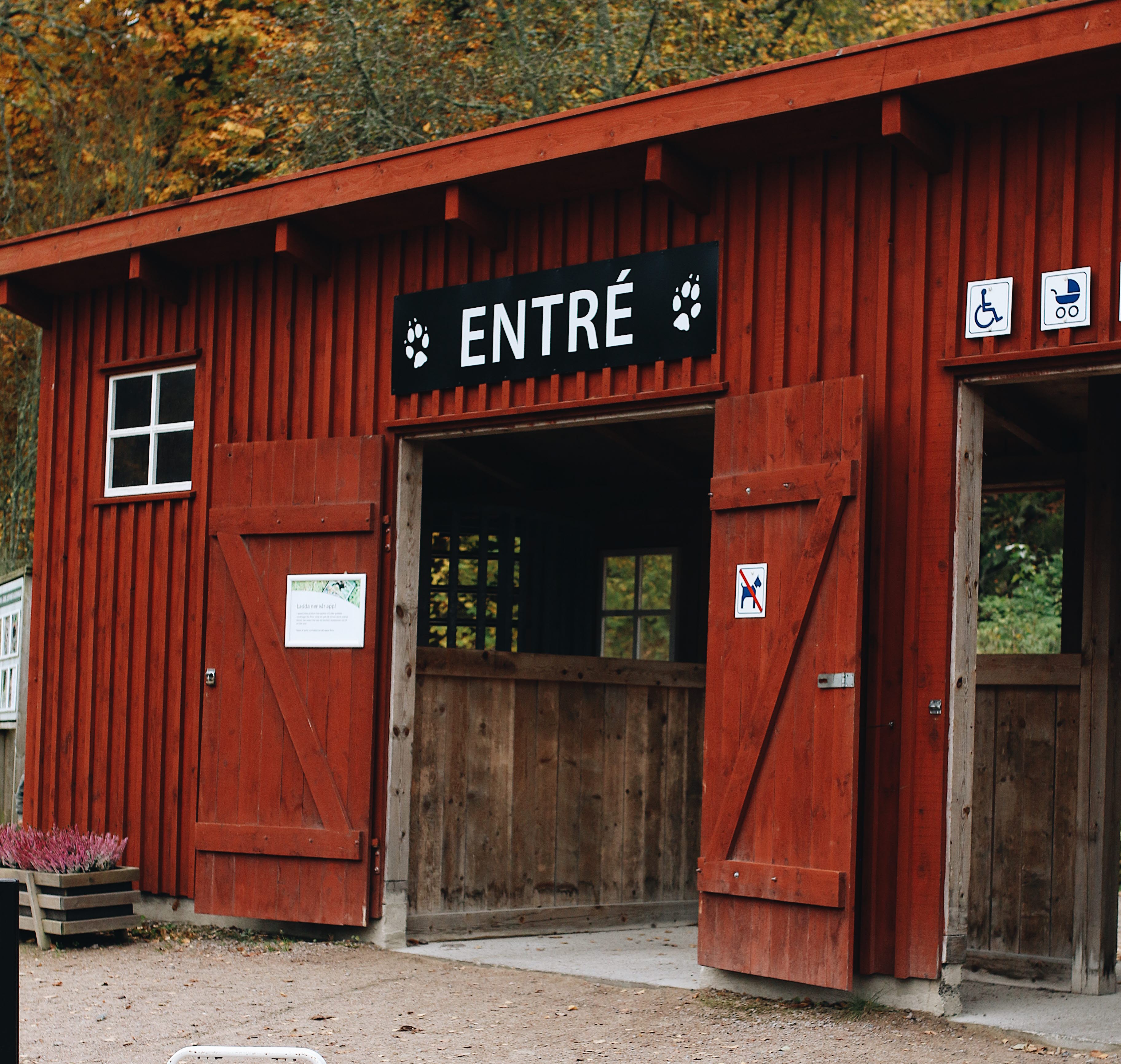 Familjeaktivitet hos Nordens Ark