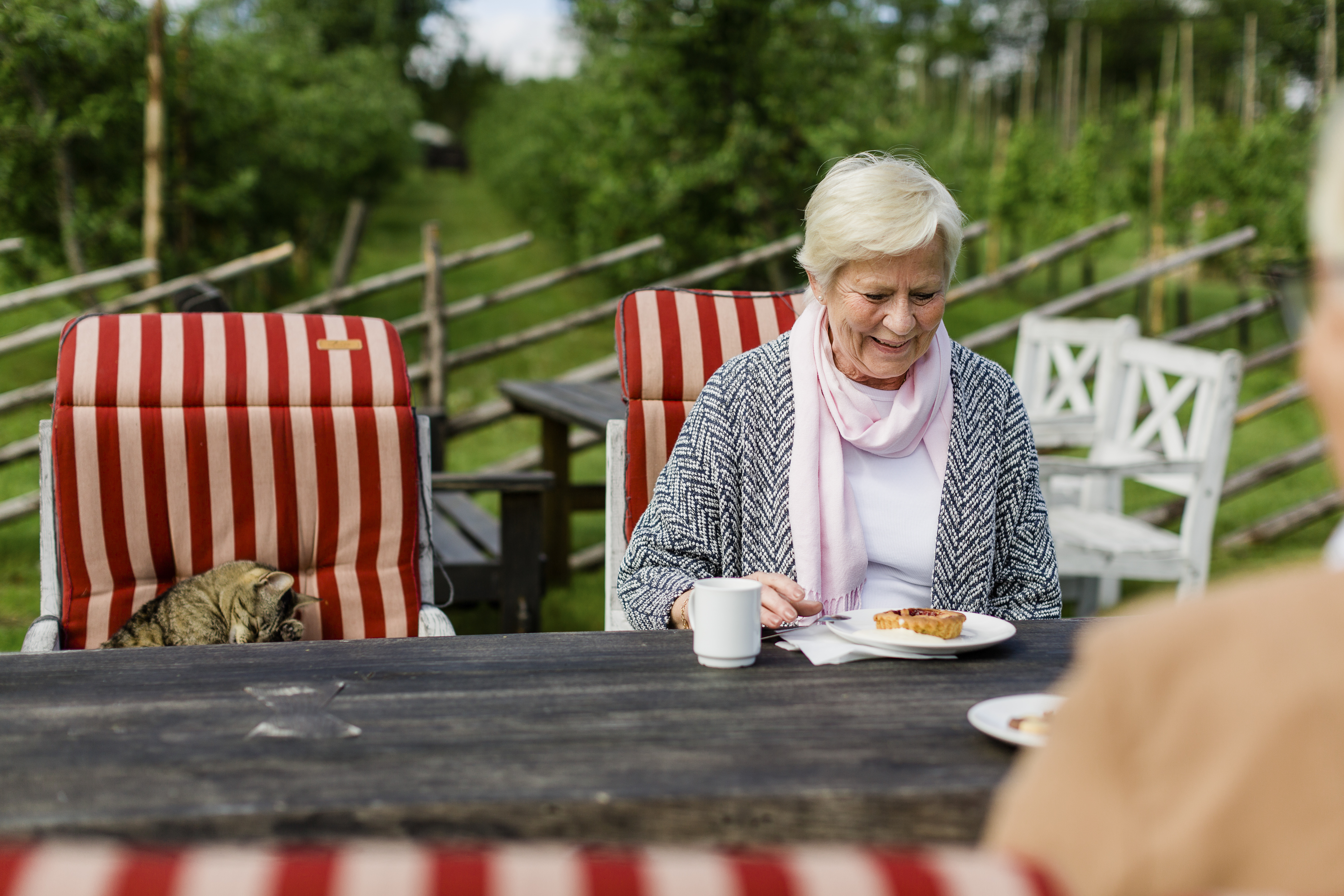 Kvinna fikar i Sammels Trädgård