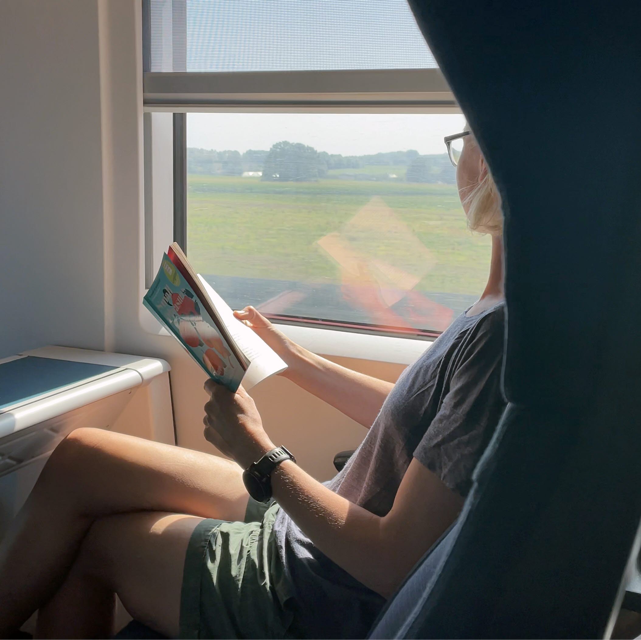 A woman reads a book on a train.