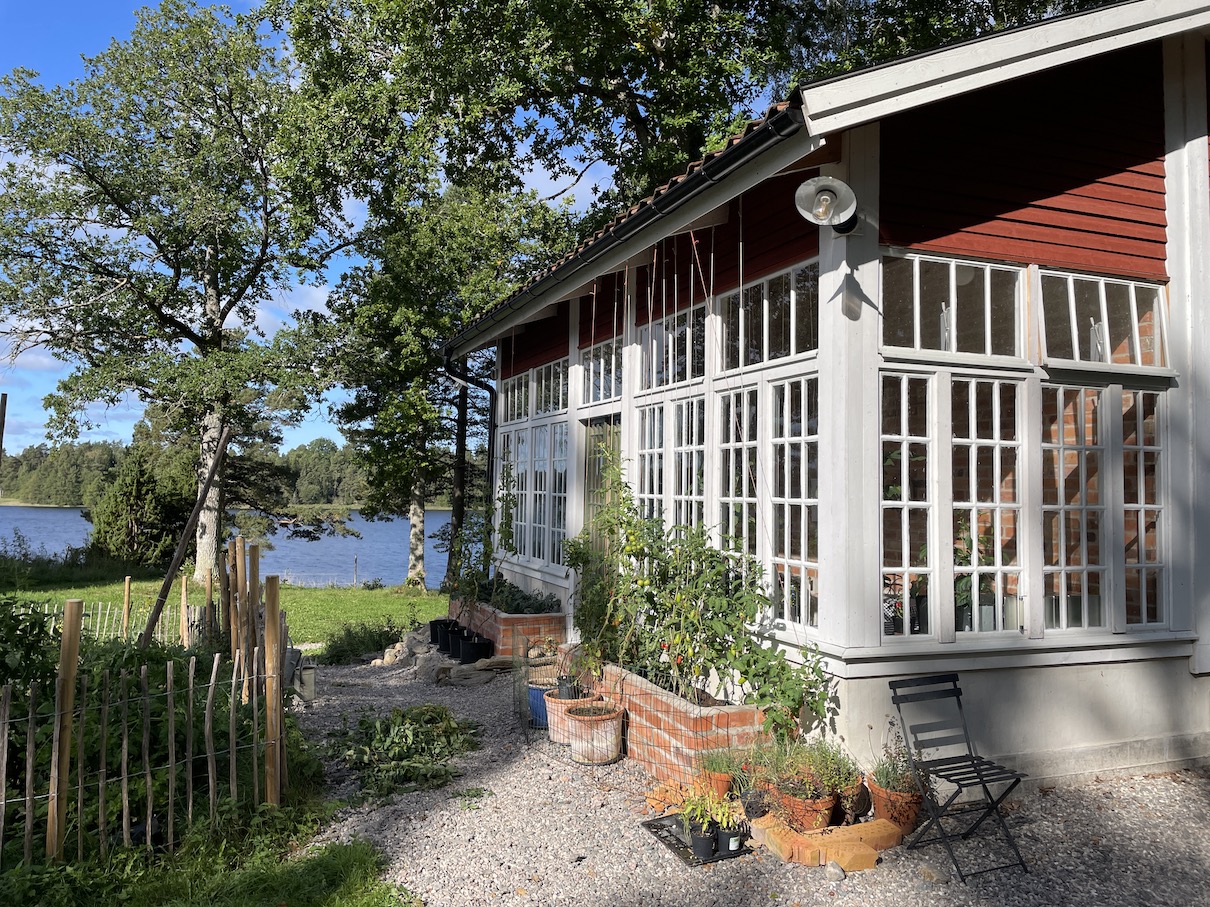 Living close to nature in the forest.