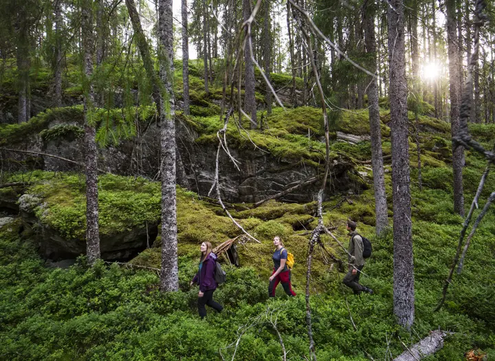 Tresticklan Nationalpark