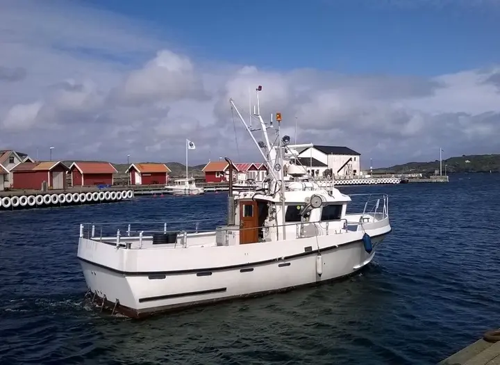 Hajen Fiskecharter