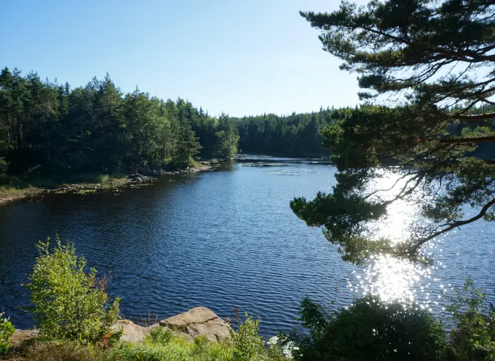 Kroksjön