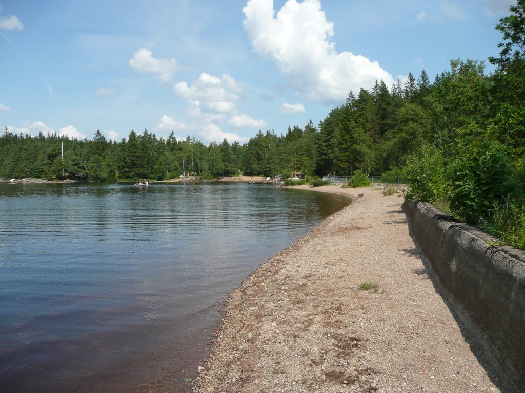 Stendammen