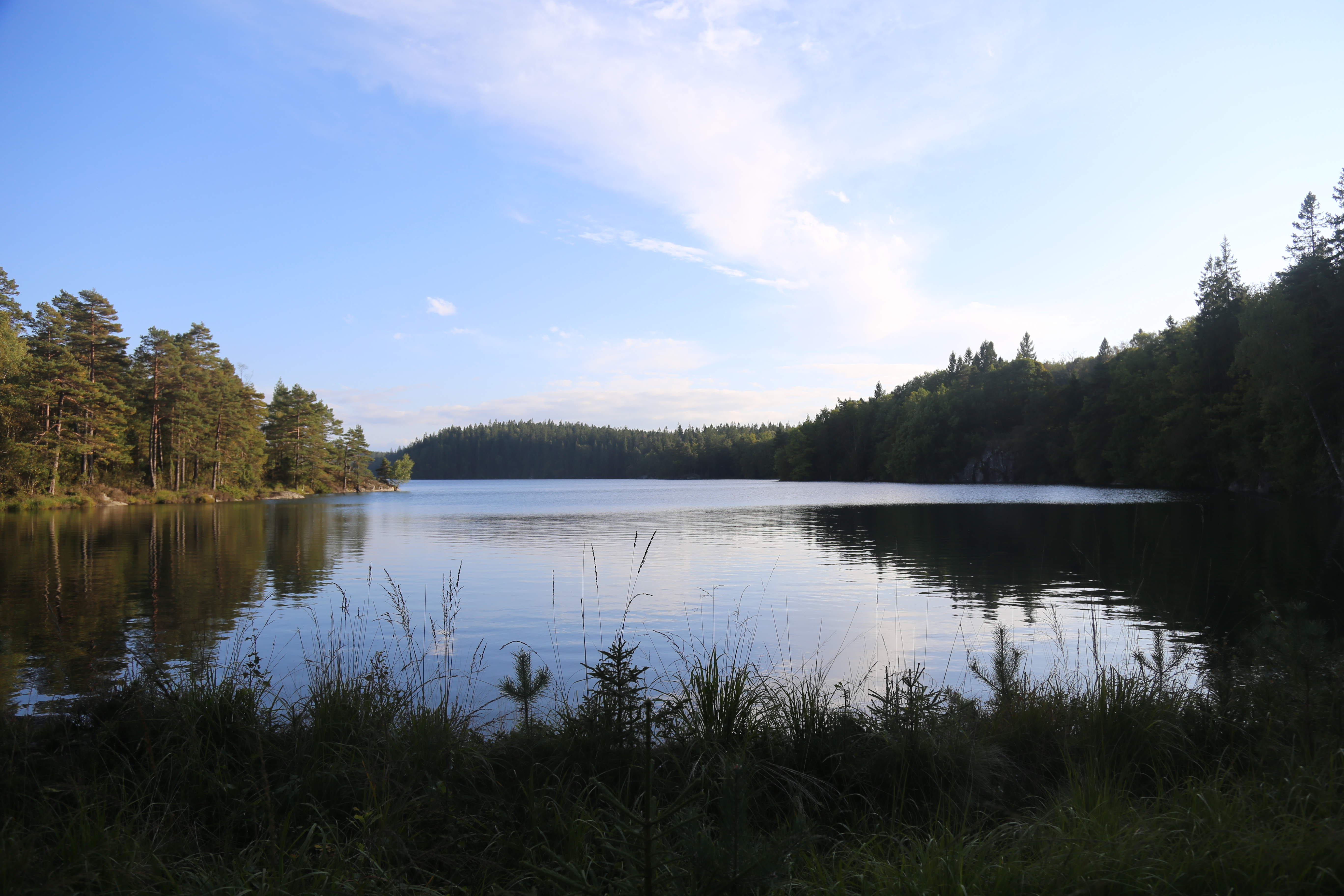 Torrgårdsvattnet