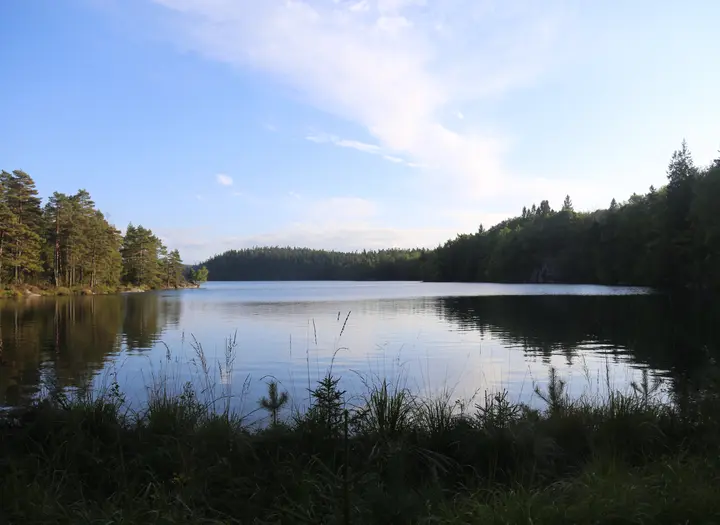 Torrgårdsvattnet