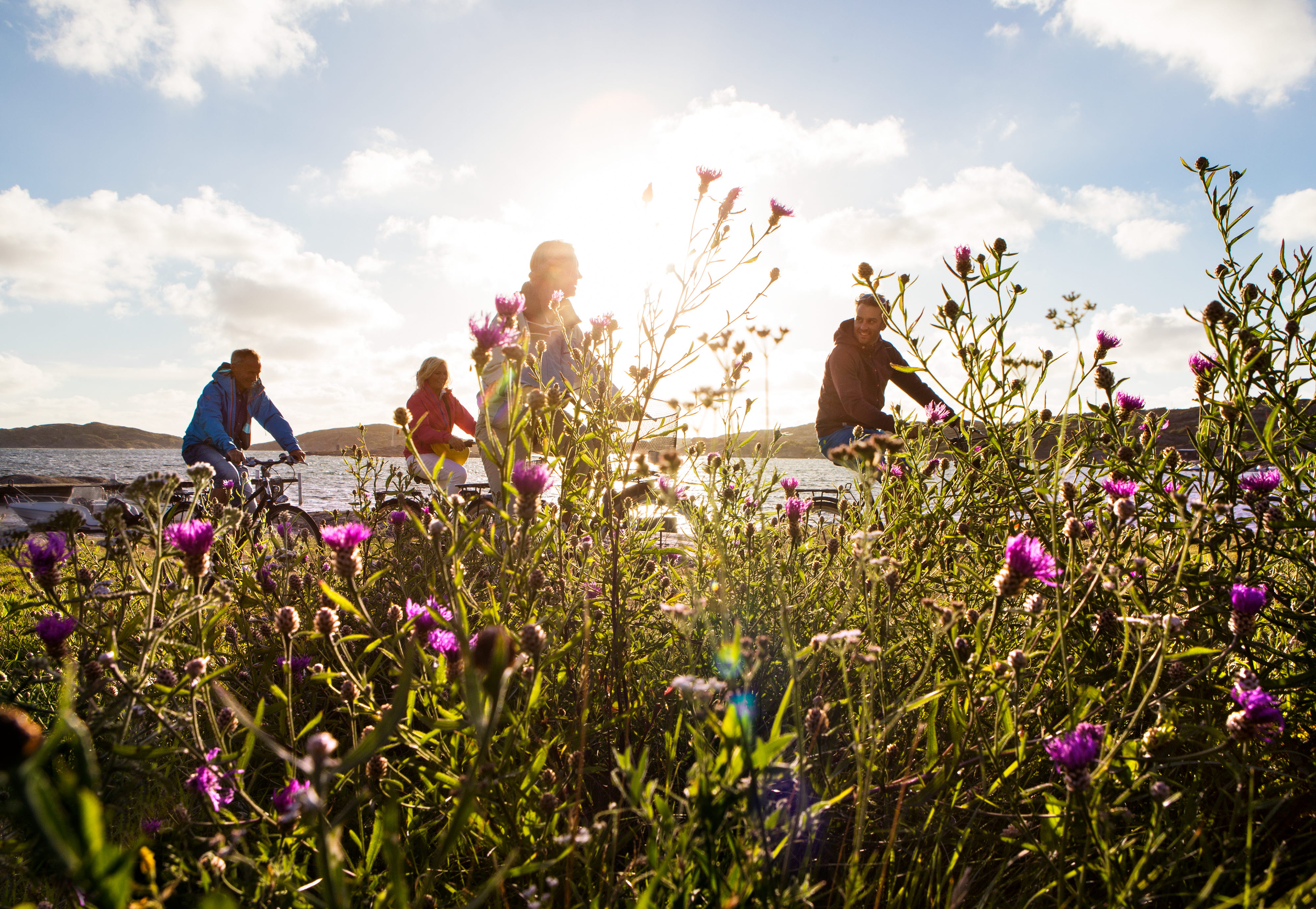 blommor i fokus med personer som cyklar i bakgrunden. 