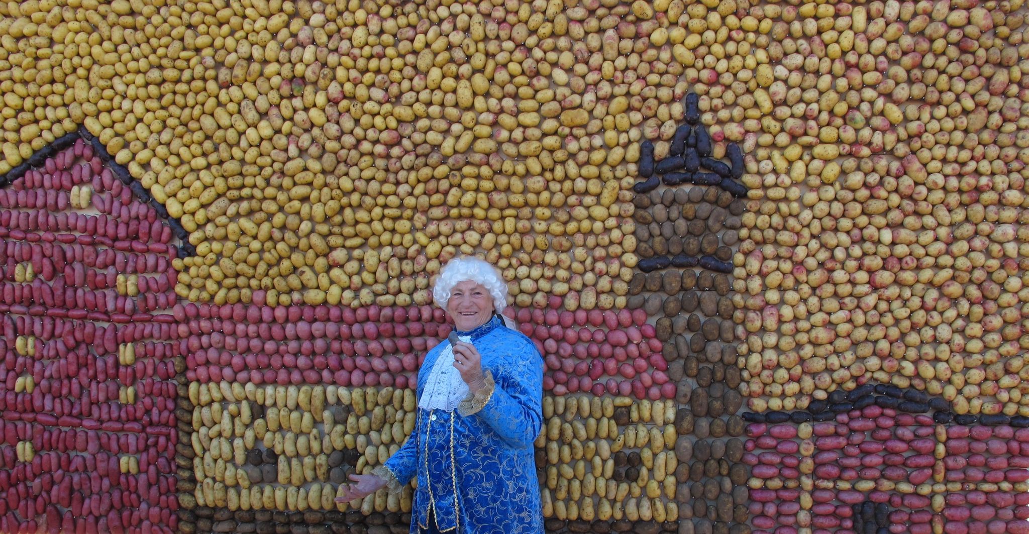 potatisfestivalen, potatisvägg