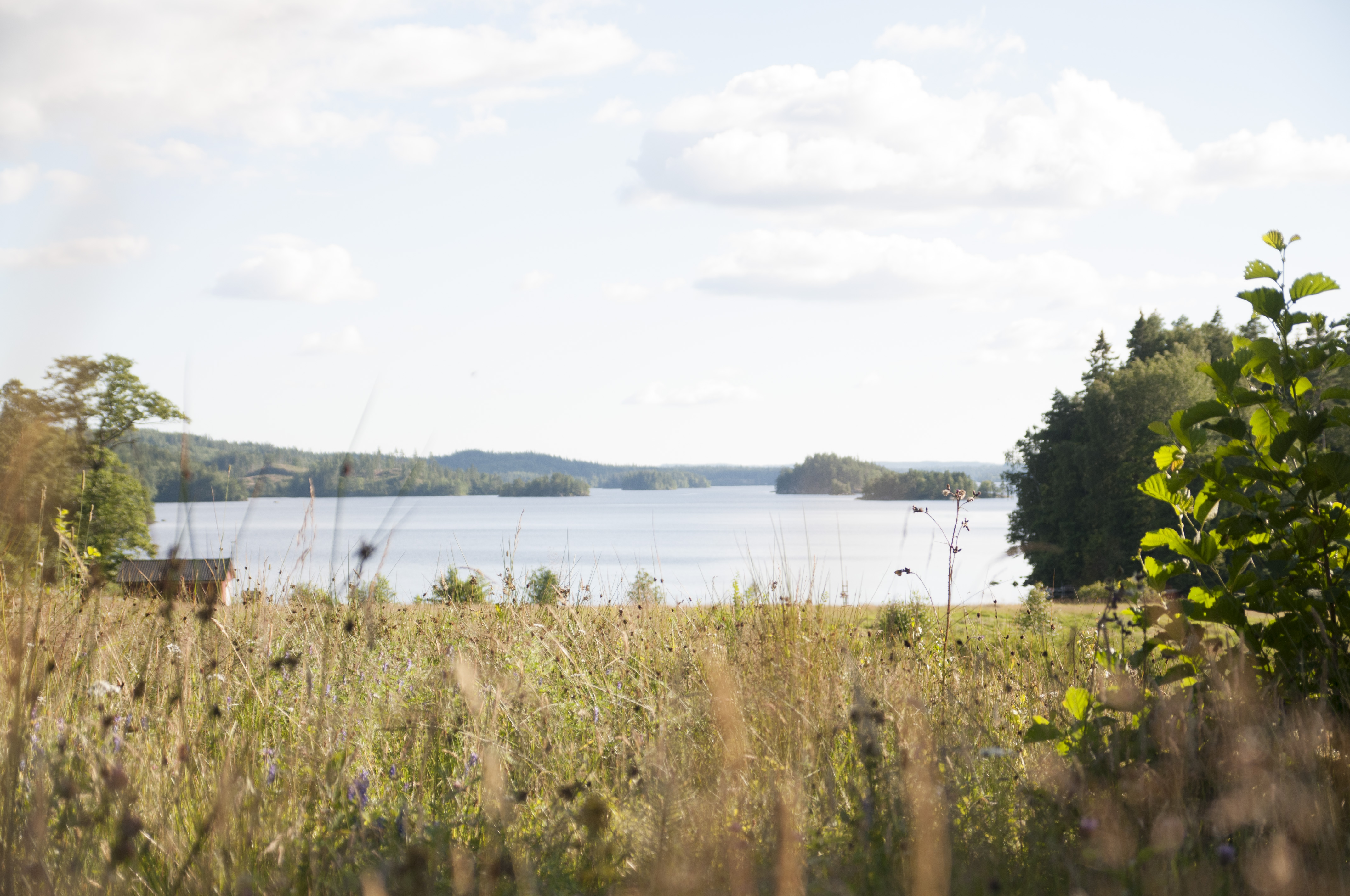 Utsikt över sjön Mjörn i Alingsås.