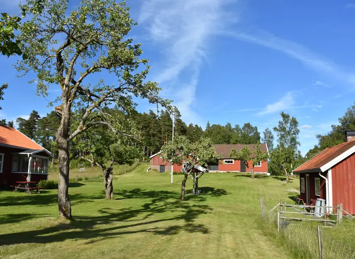 Dammsjöås
