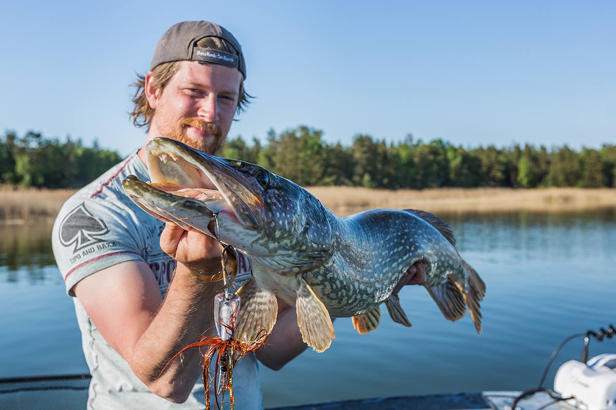 En nöjd fiskare håller en nyfångad gädda i famnen.