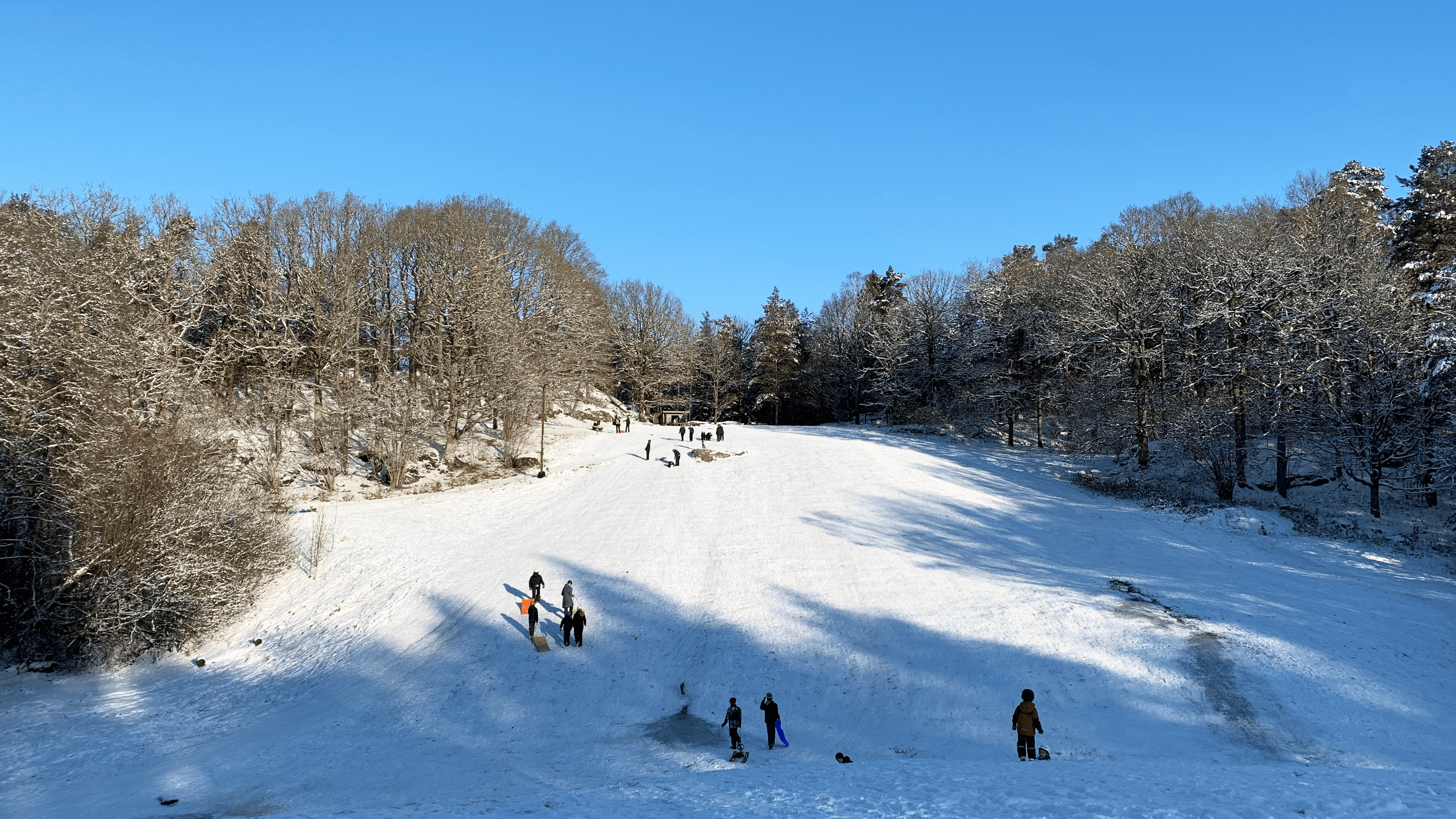 pulkaåkning familjer.
