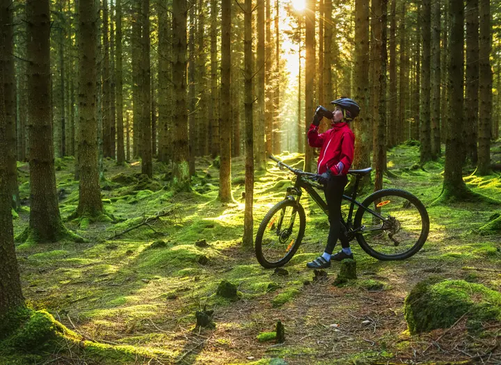 Mountainbikeleder